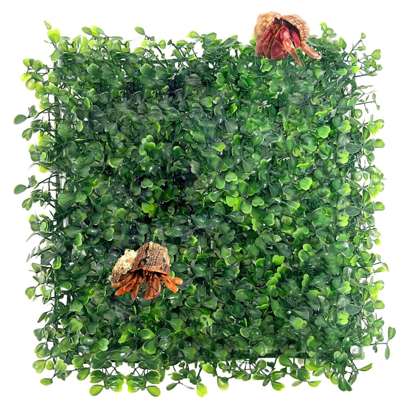 Alfombra de Césped Artificial FMOACEN para Acuario 25x25 cm