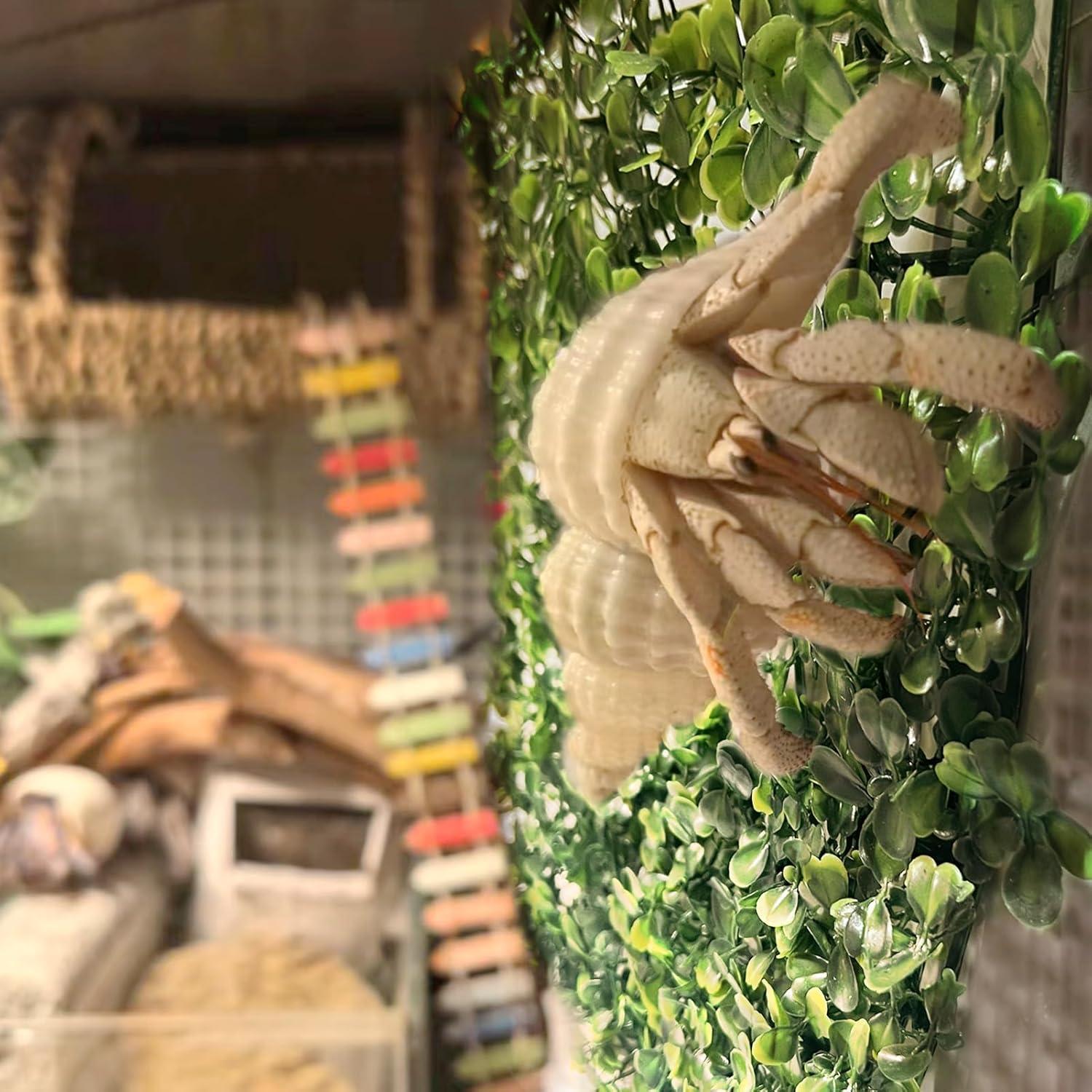 Alfombra de Césped Artificial FMOACEN para Acuario 25x25 cm