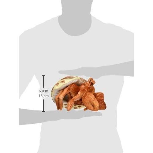 Títere de Cangrejo Ermitaño Folkmanis 33x23x28cm