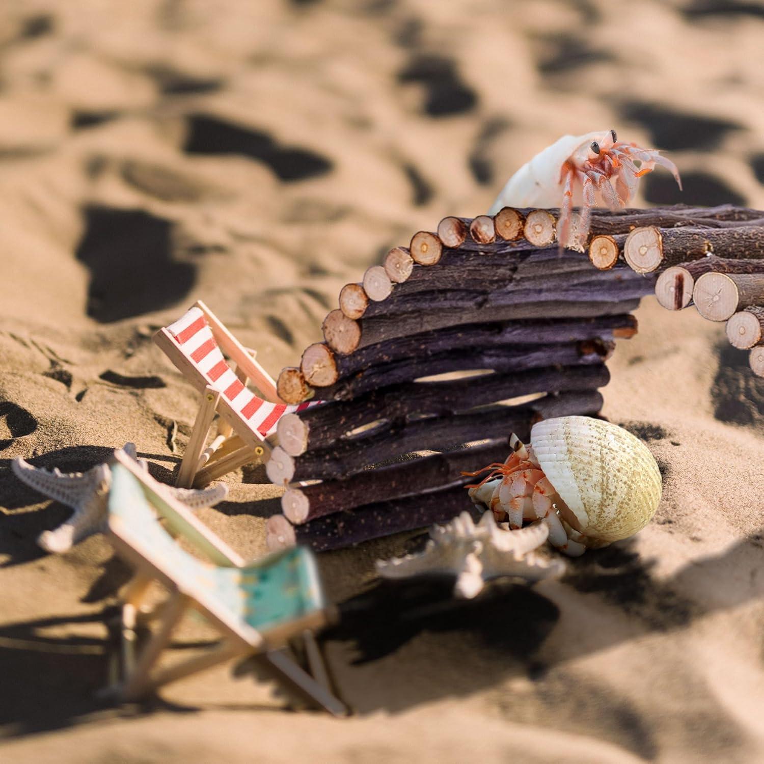 Escondite para Cangrejo Ermitaño Warmfarm 20x15cm Madera Natural