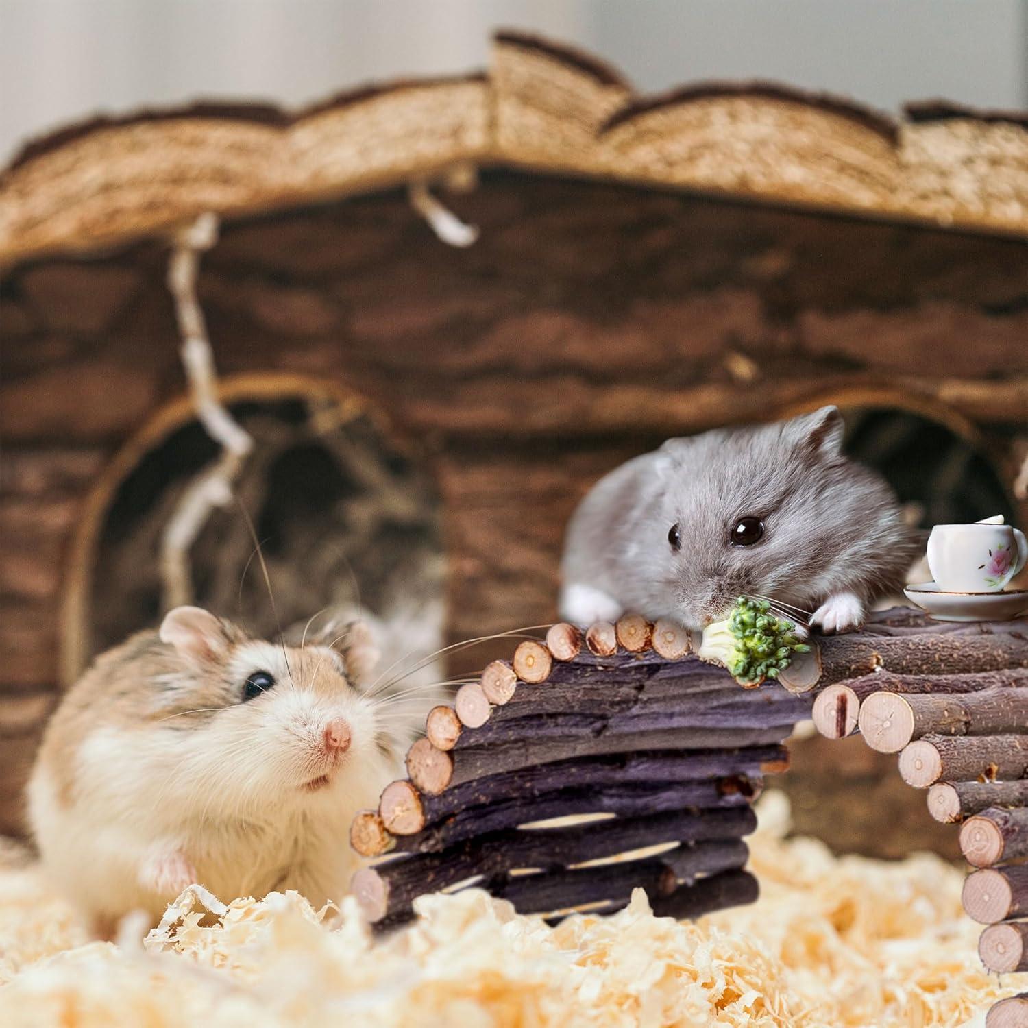 Escondite para Cangrejo Ermitaño Warmfarm 20x15cm Madera Natural