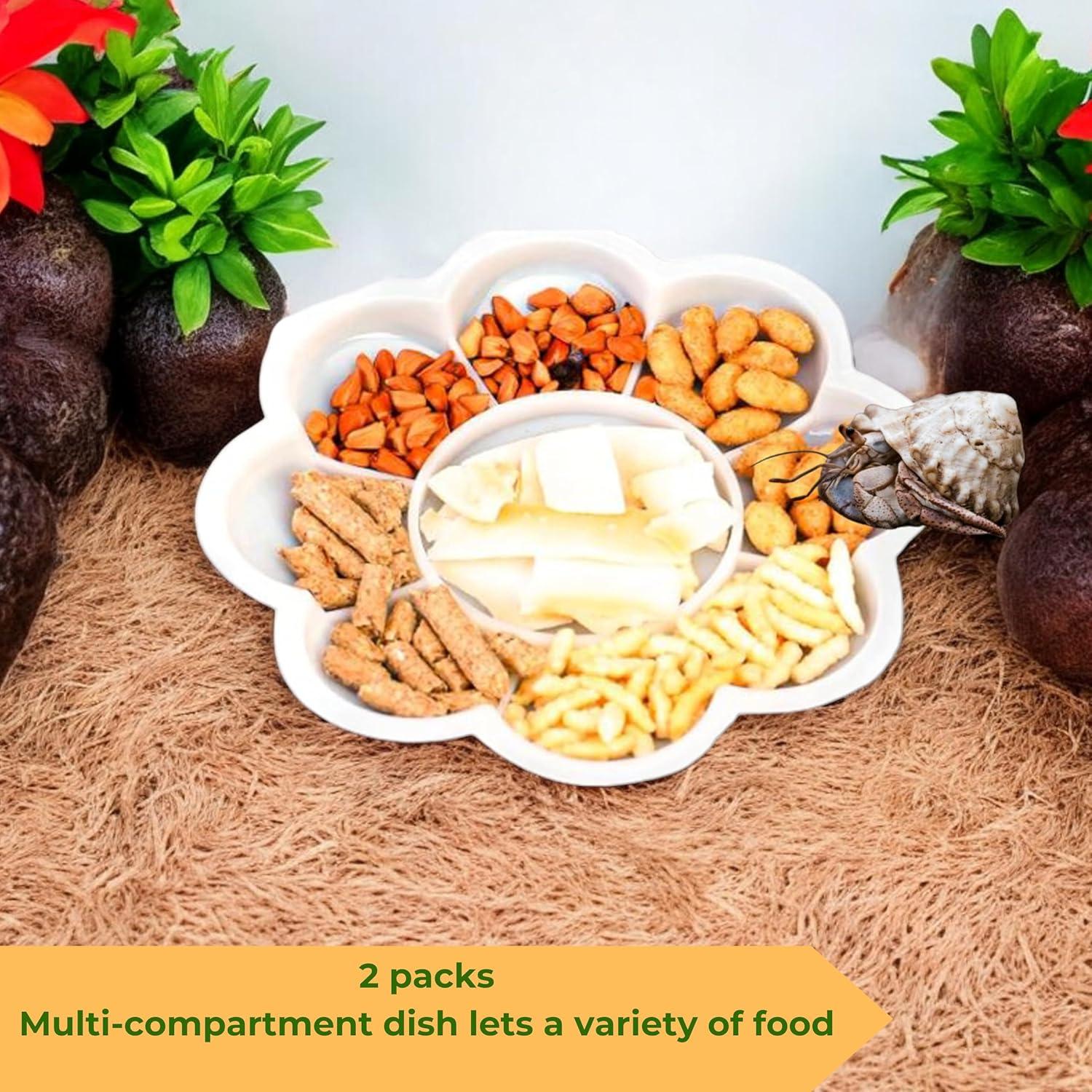 Juego de Tazones de Comida para Cangrejo Ermitaño PurrrfectionPet