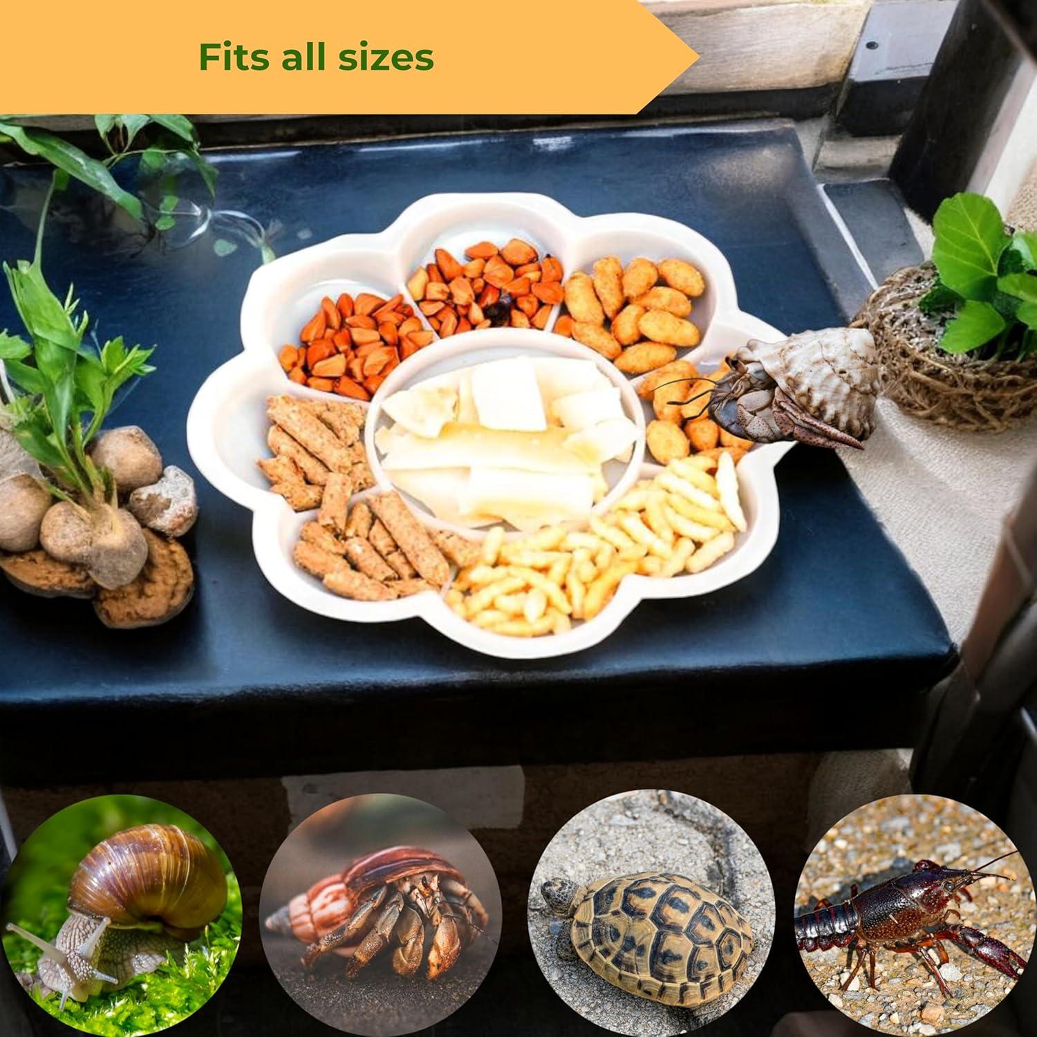 Juego de Tazones de Comida para Cangrejo Ermitaño PurrrfectionPet