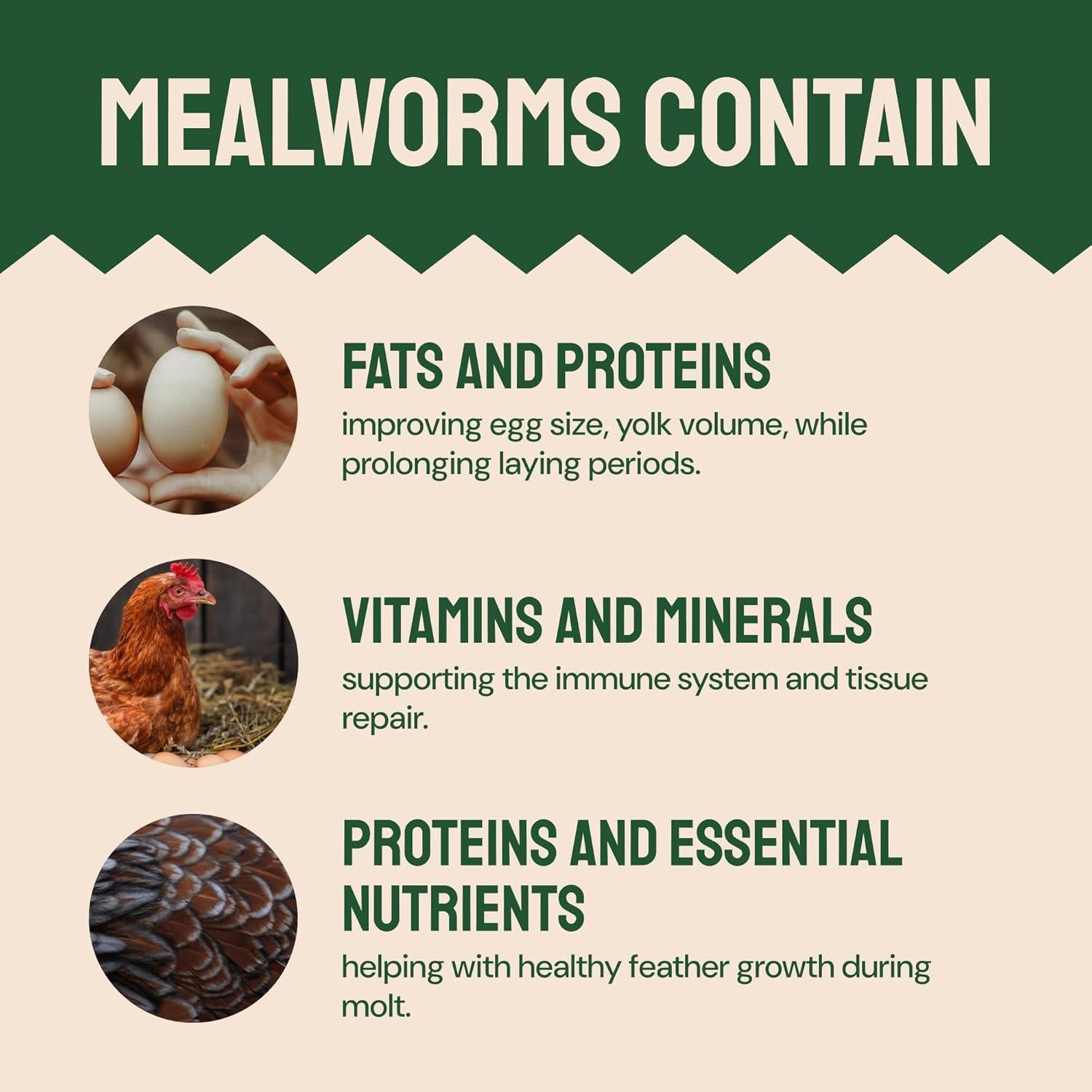 Gusanos de Harina Secos Hatortempt 4.54 kg - Alimento Proteico para Aves