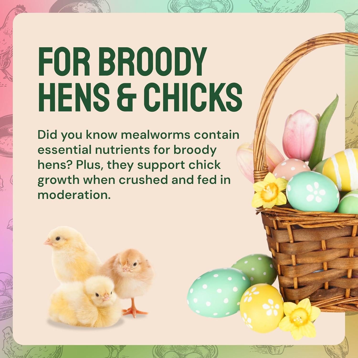 Gusanos de Harina Secos Hatortempt 4.54 kg - Alimento Proteico para Aves