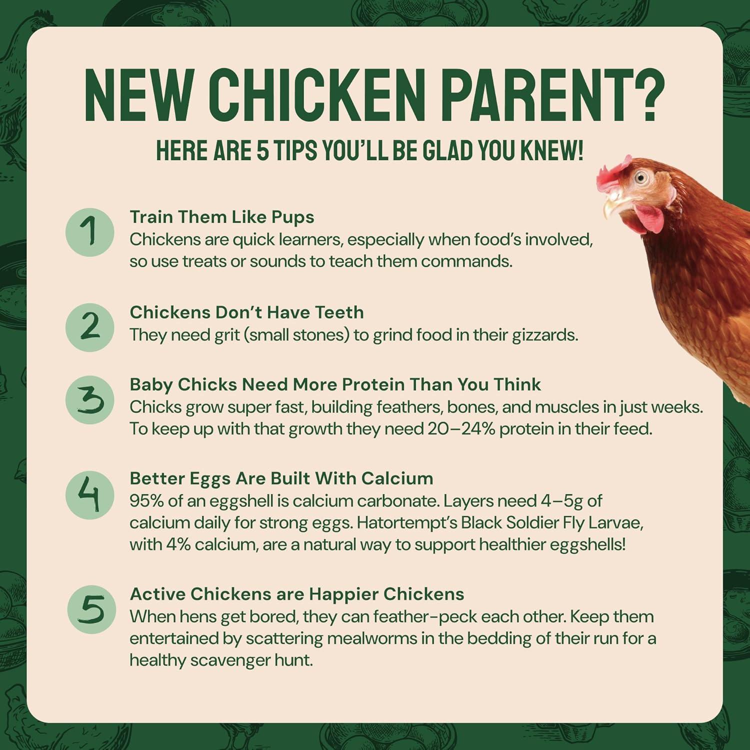 Gusanos de Harina Secos Hatortempt 4.54 kg - Alimento Proteico para Aves