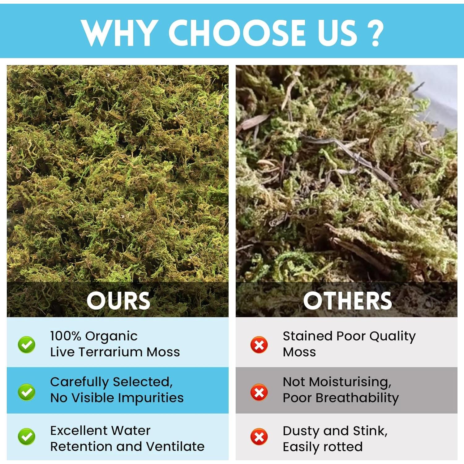 Musgo Sphagnum Premium Riare 198 g para Reptiles y Terrarios