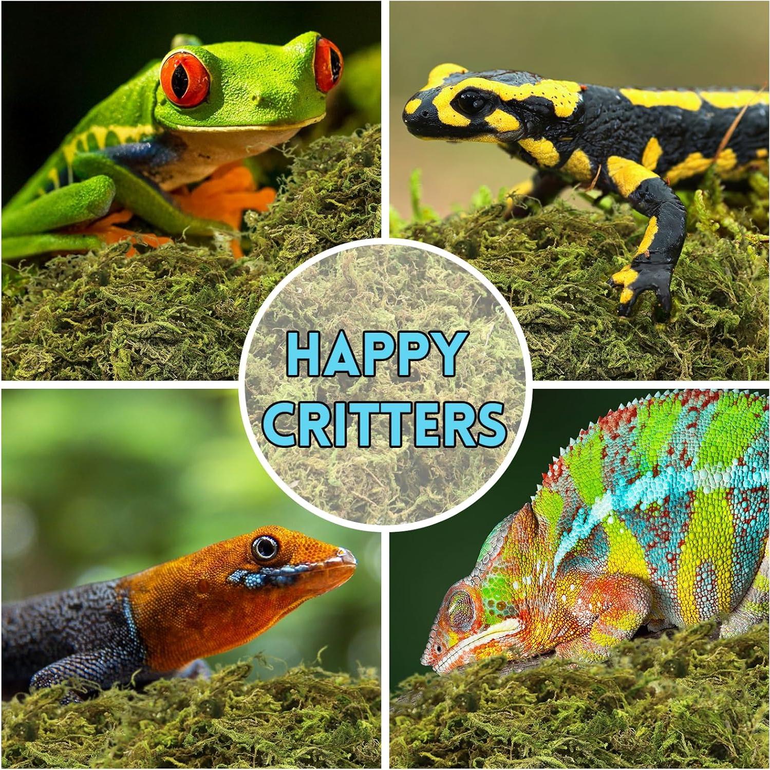 Musgo Sphagnum Premium Riare 198 g para Reptiles y Terrarios