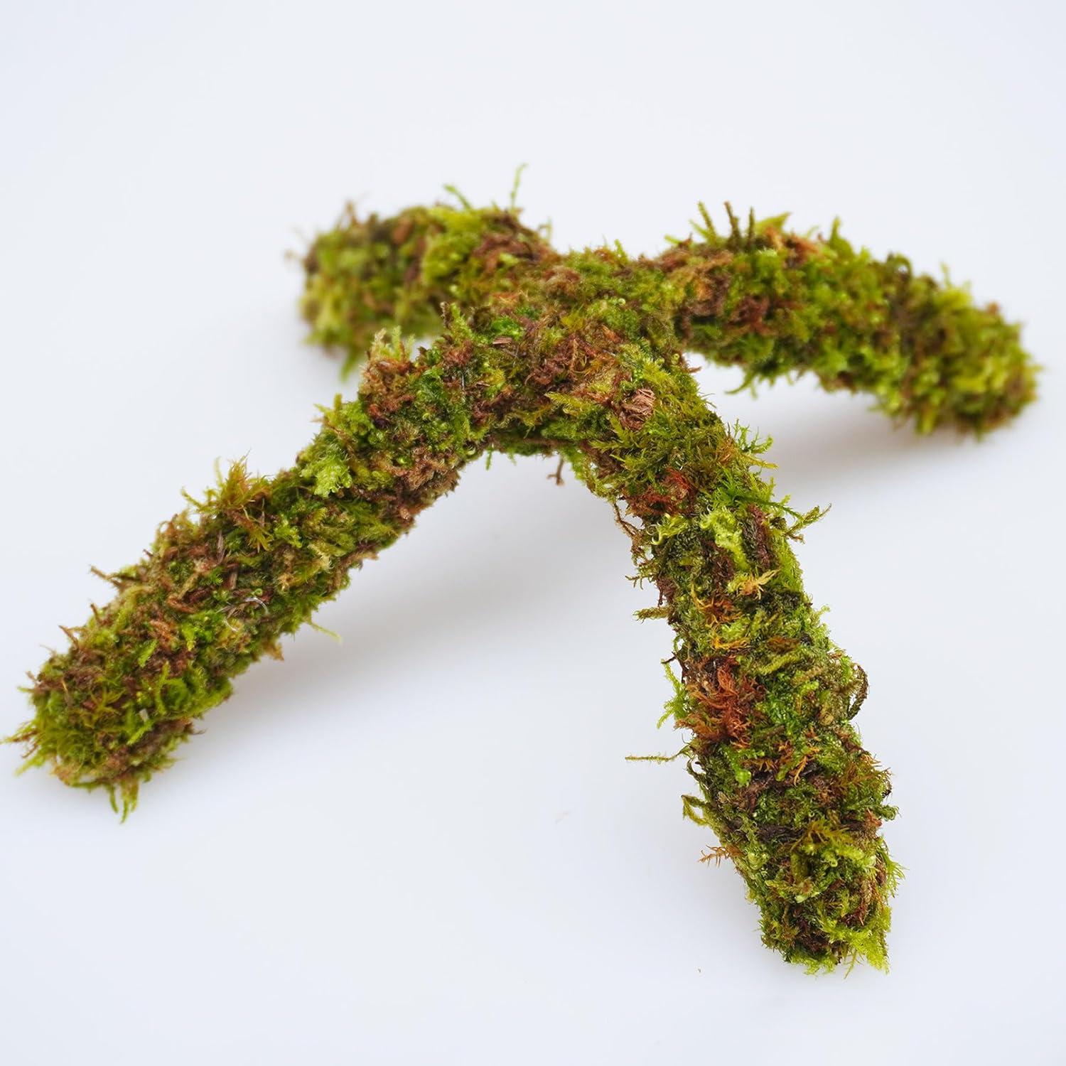 Soporte de Escalada para Cangrejo Ermitaño Begeterday 15 cm