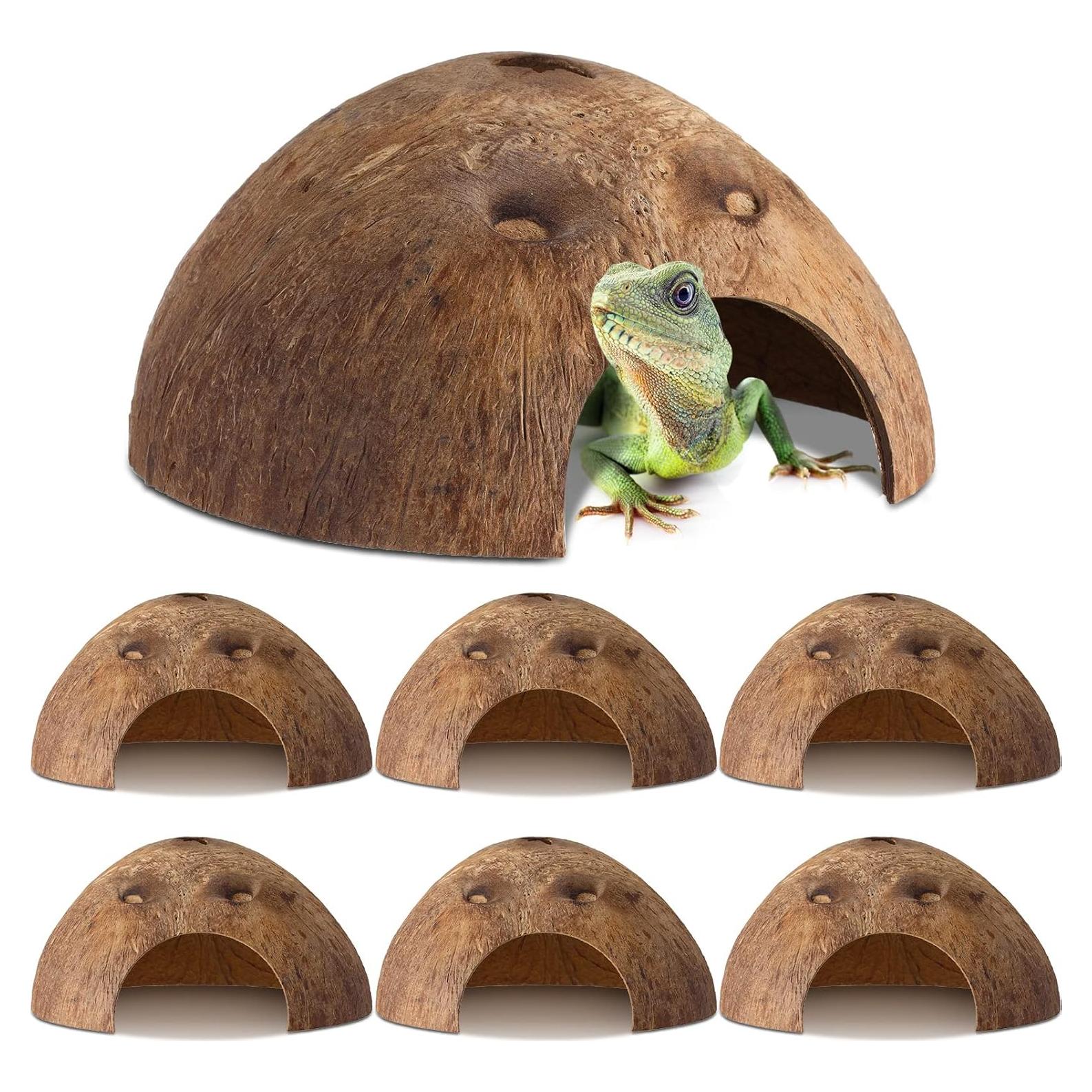 6 Refugios de Coco para Reptiles Woanger - Escondites Naturales 12.7 cm