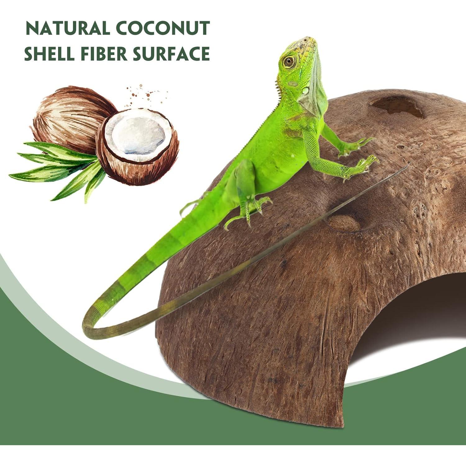 6 Refugios de Coco para Reptiles Woanger - Escondites Naturales 12.7 cm