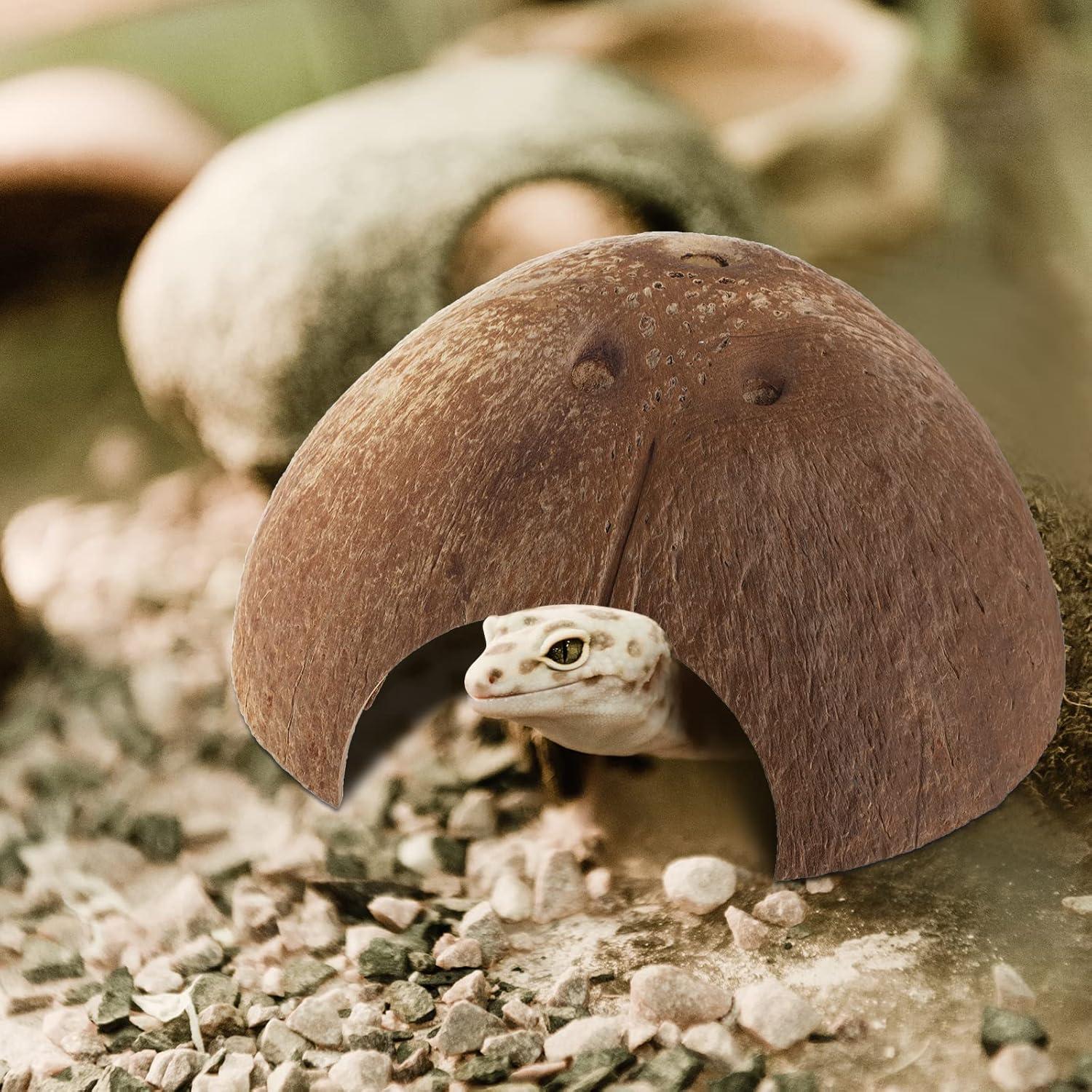 6 Refugios de Coco para Reptiles Woanger - Escondites Naturales 12.7 cm