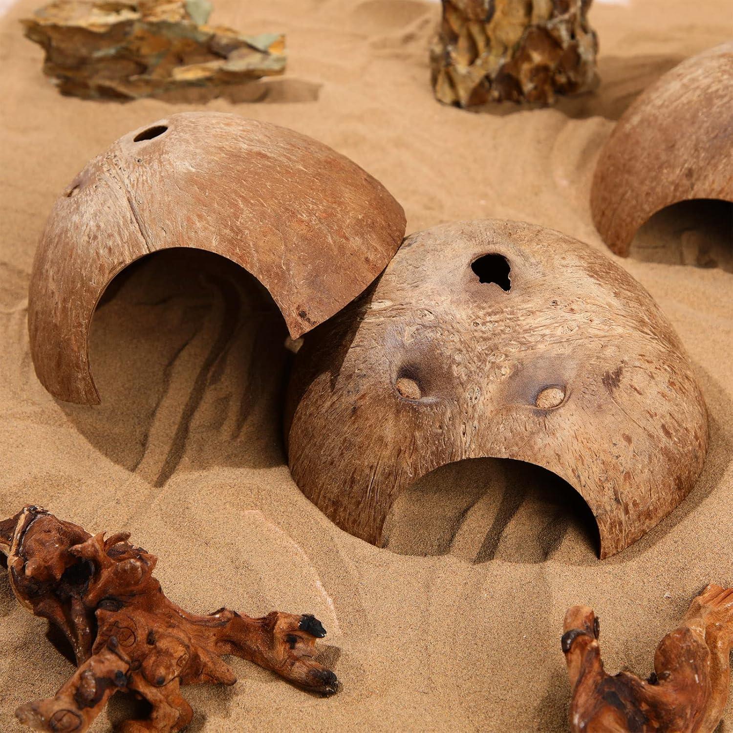 6 Refugios de Coco para Reptiles Woanger - Escondites Naturales 12.7 cm