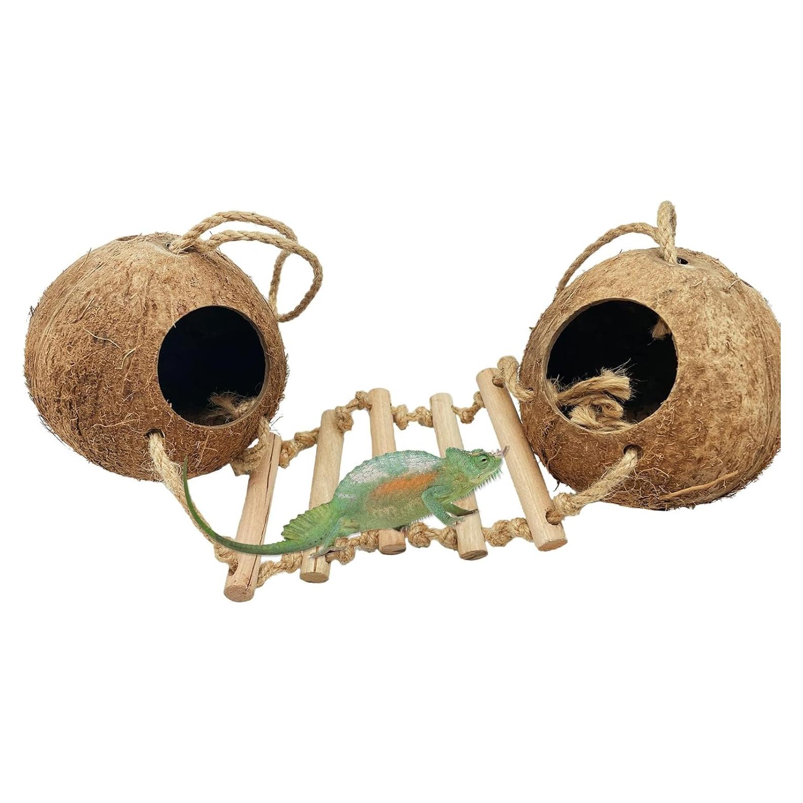 Refugio de Coco Natural Hamiledyi para Gecko y Reptiles