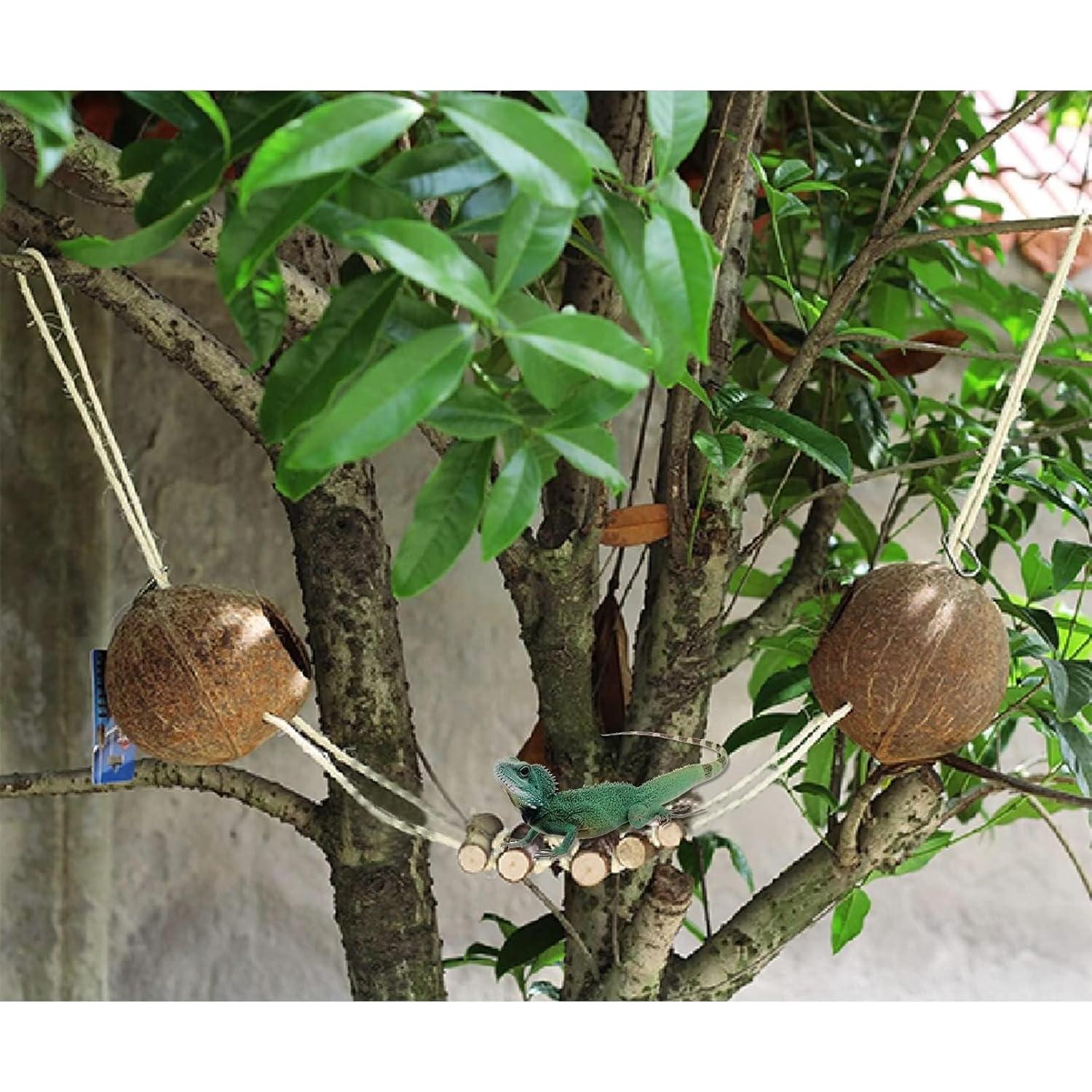 Refugio de Coco Natural Hamiledyi para Gecko y Reptiles