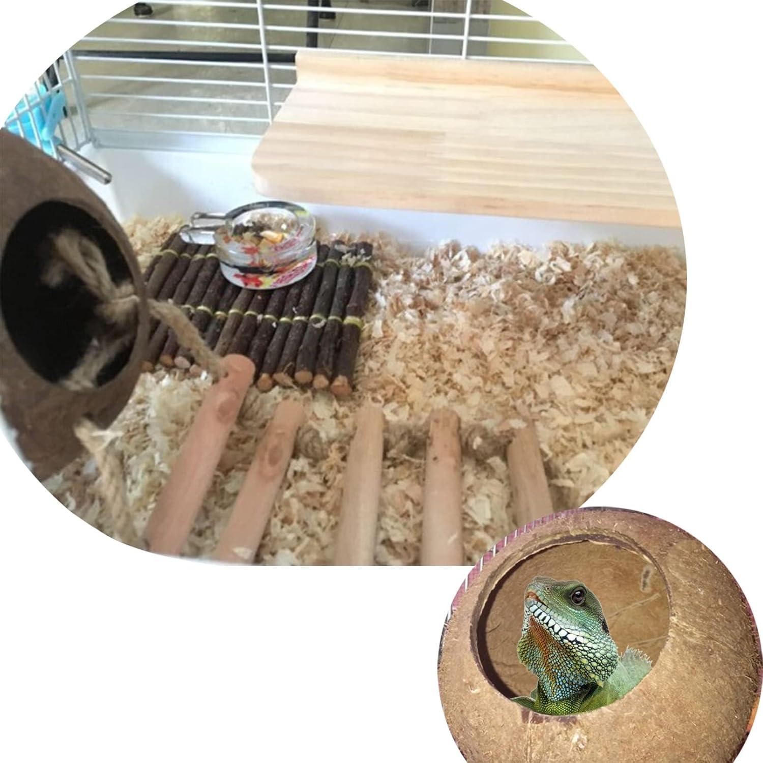 Refugio de Coco Natural Hamiledyi para Gecko y Reptiles