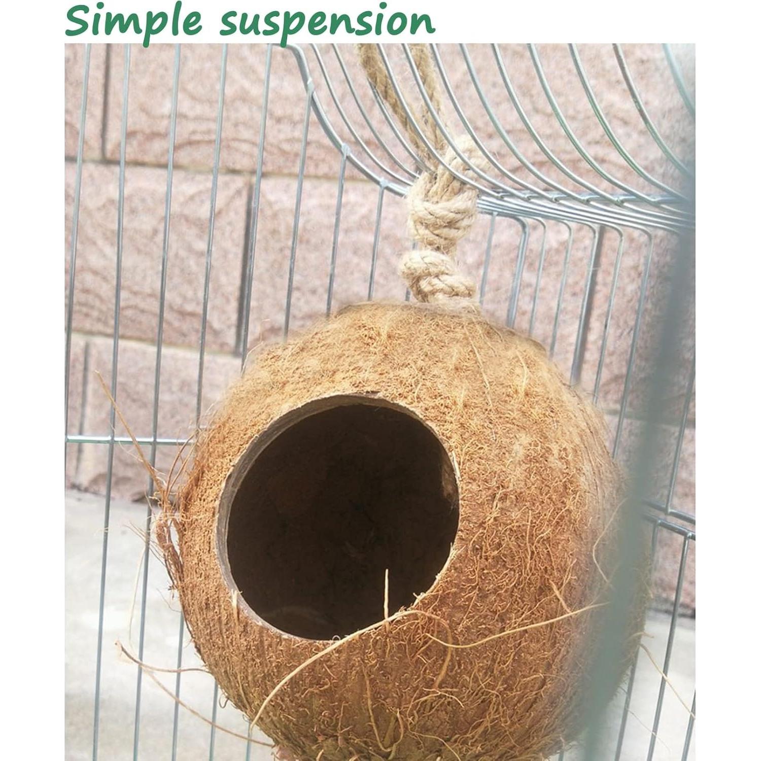 Refugio de Coco Natural Hamiledyi para Gecko y Reptiles