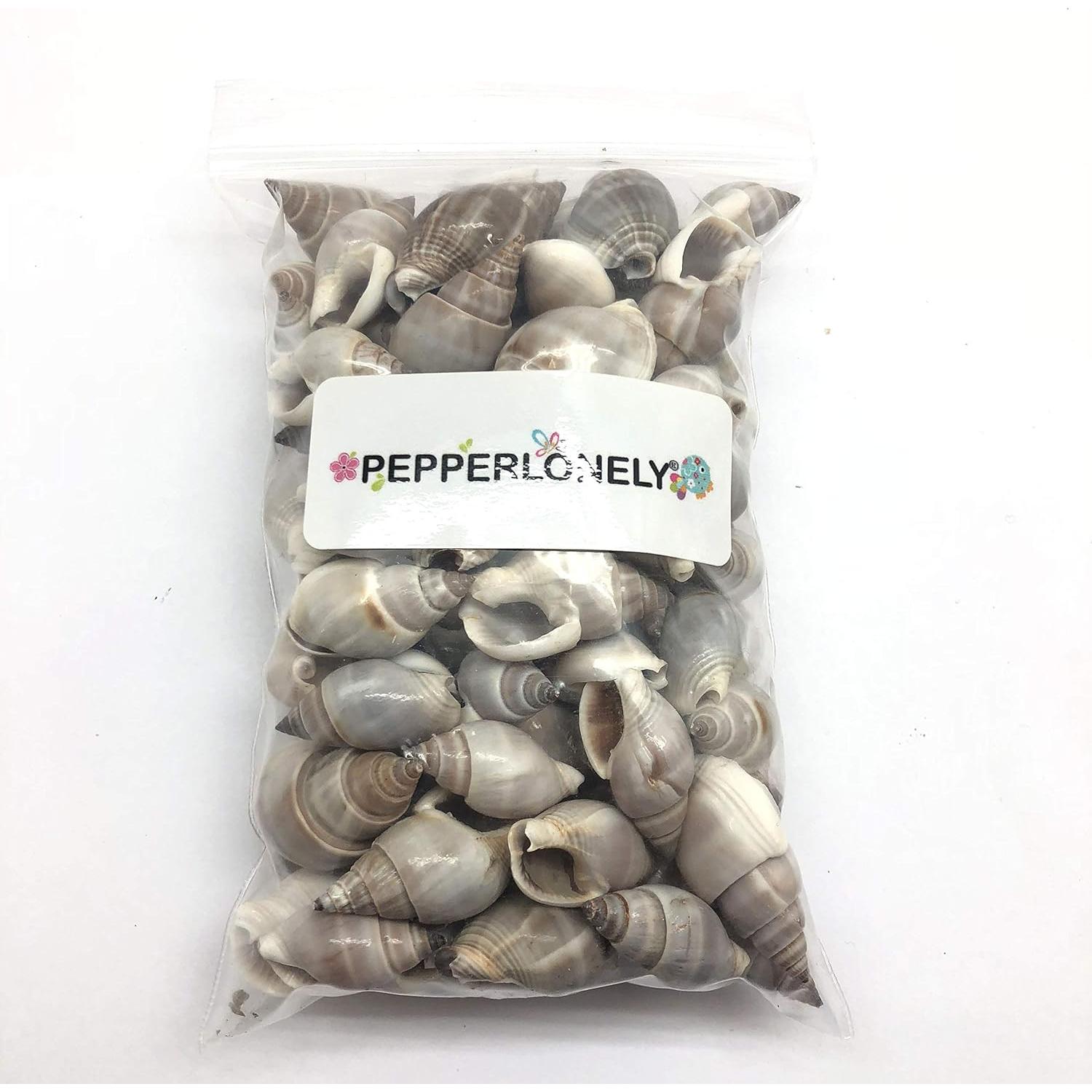 Conchas de Cangrejo Ermitaño PEPPERLONELY 170 g 100+ Unidades