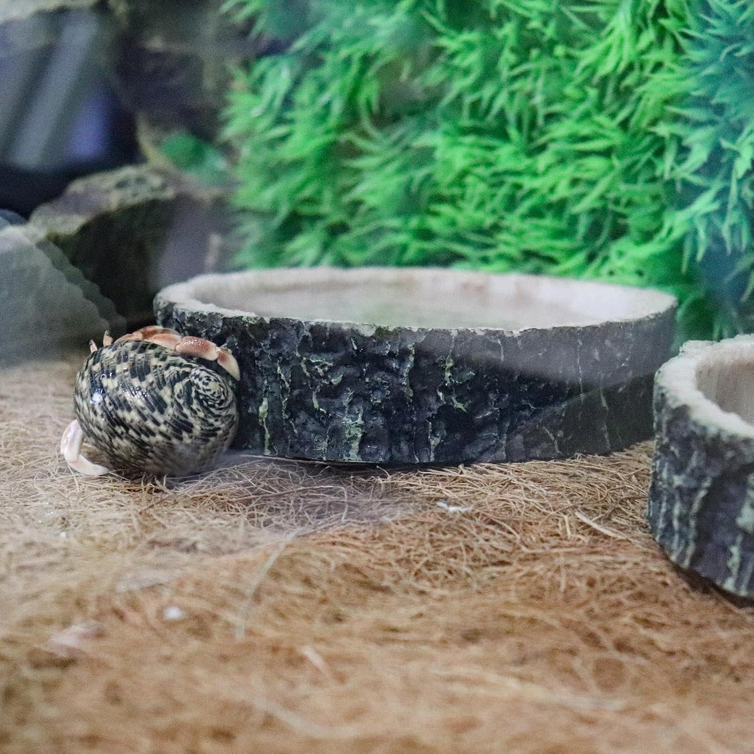 Paquete de 3 platos de resina para reptiles MinrzPet