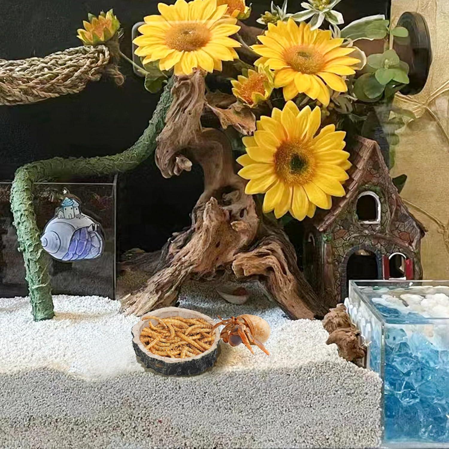 Paquete de 3 platos de resina para reptiles MinrzPet