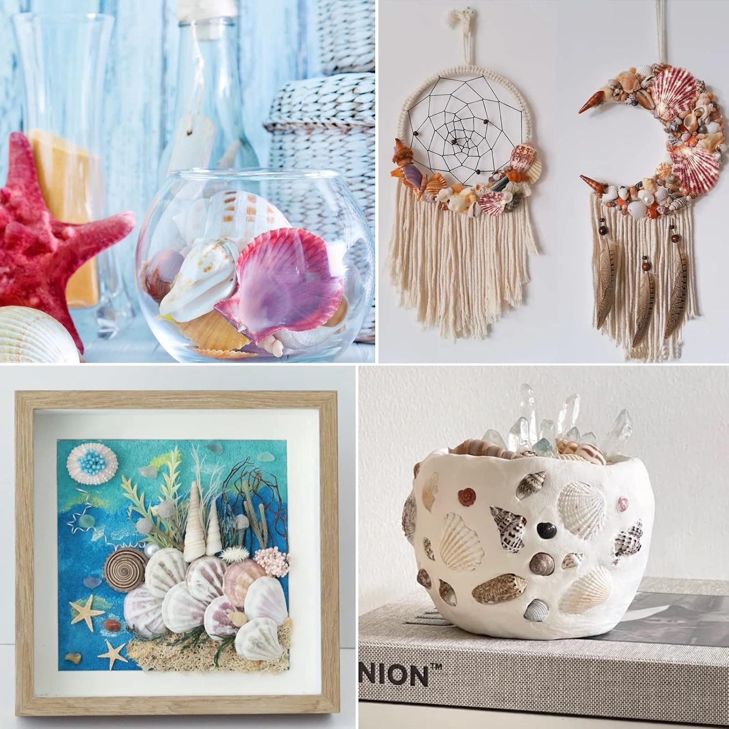 Conchas de Vieira Naturales LUCKY BABY 50 Pcs para Decoración