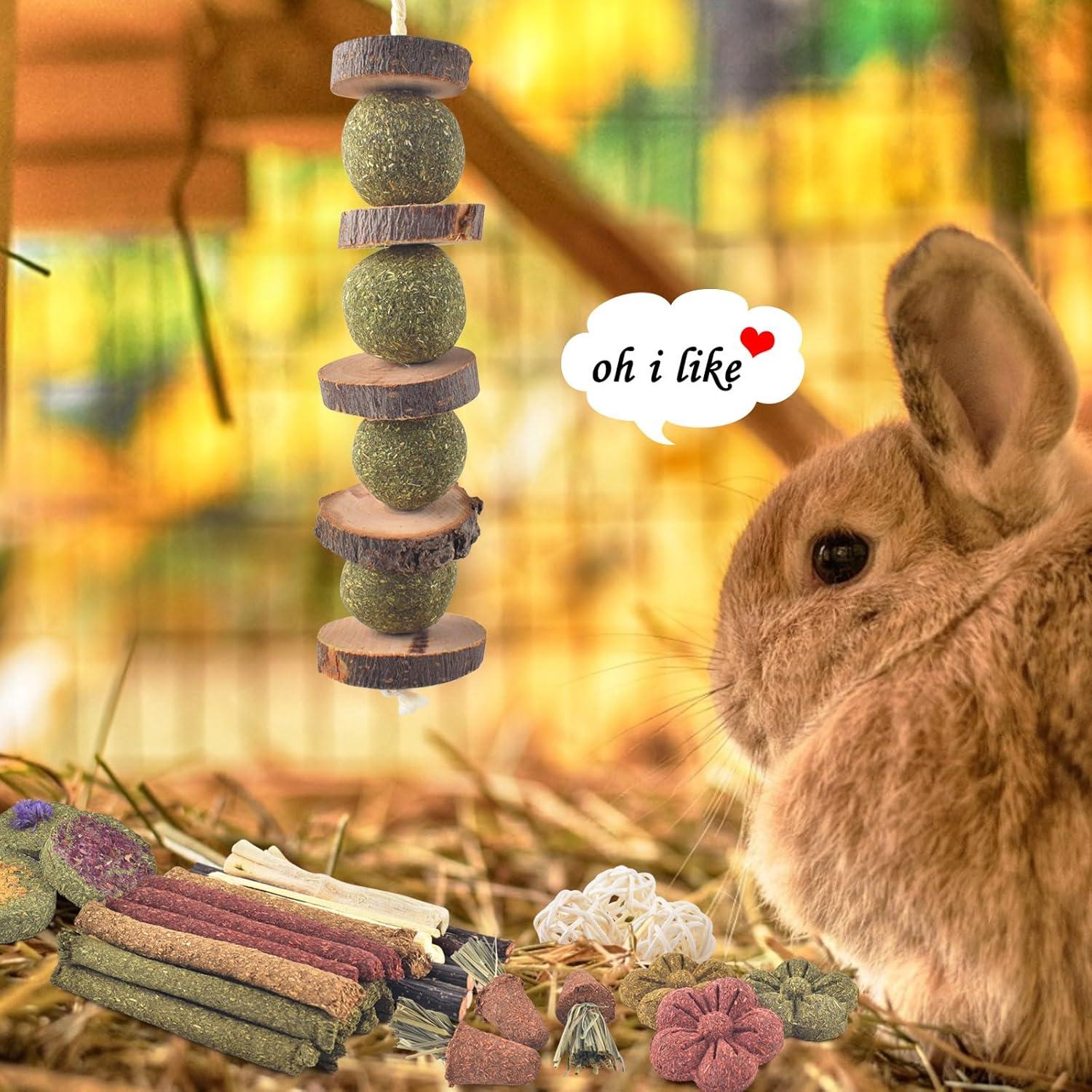 Juguetes de Masticar para Conejos ERKOON 42 PCS Cuidado Dental