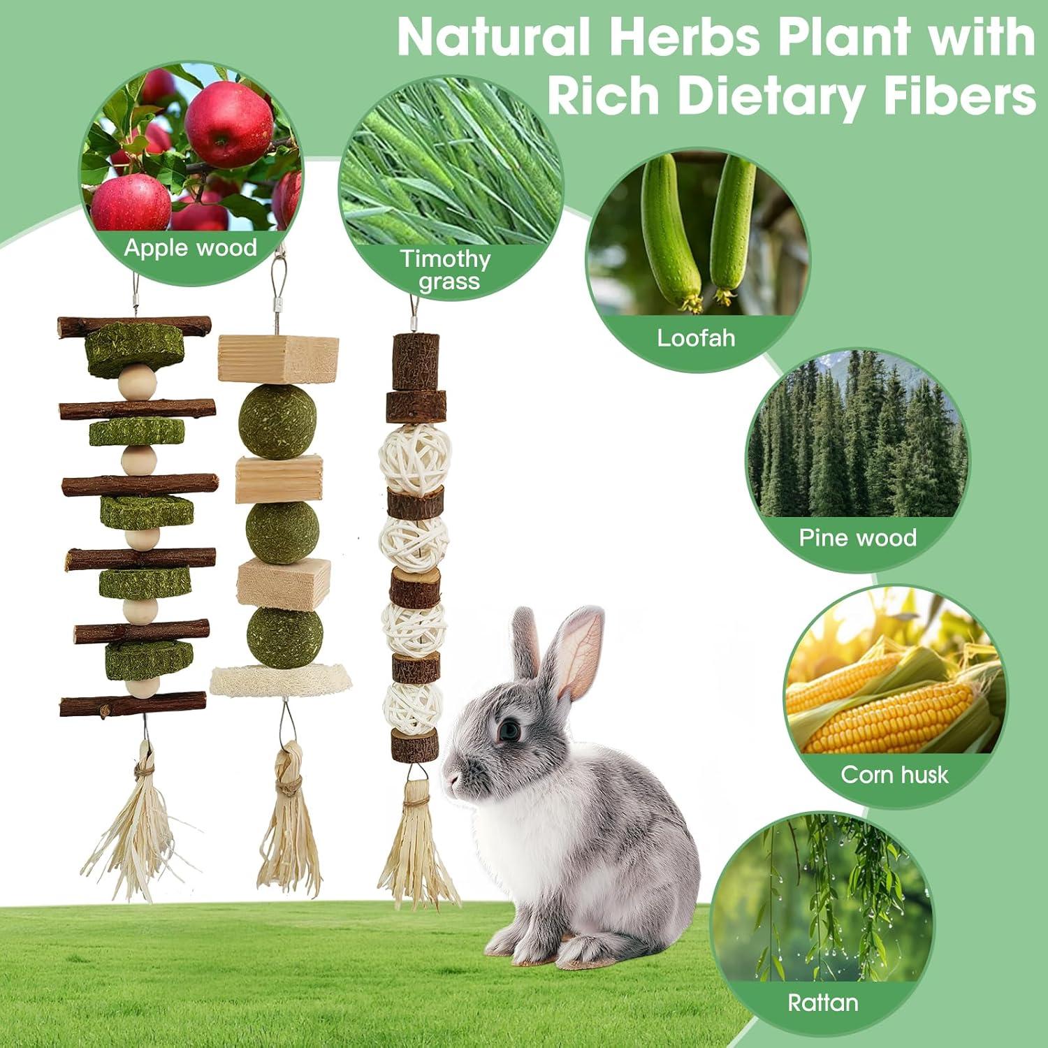 Juguetes de Masticar WDEFUN para Conejos y Roedores - 3 Piezas