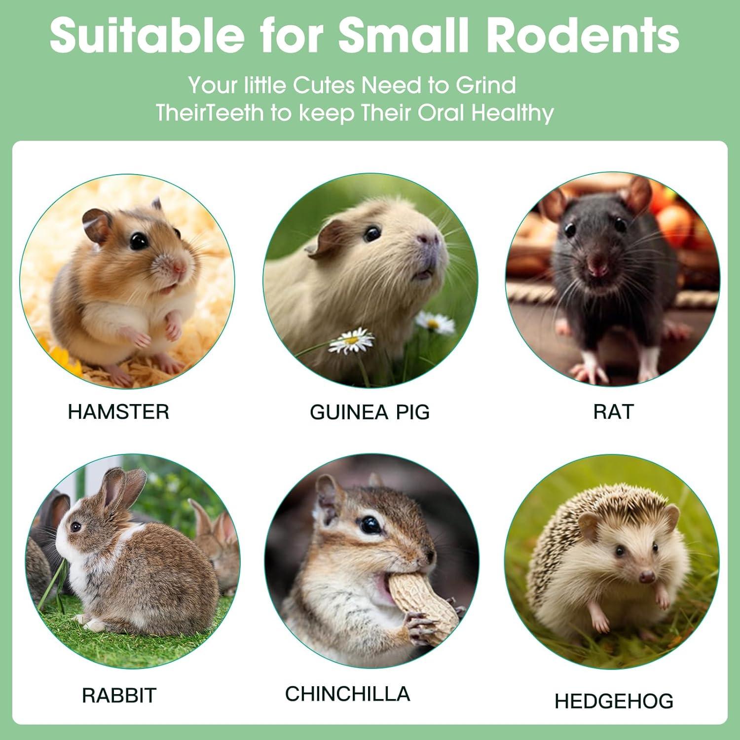 Juguetes de Masticar WDEFUN para Conejos y Roedores - 3 Piezas