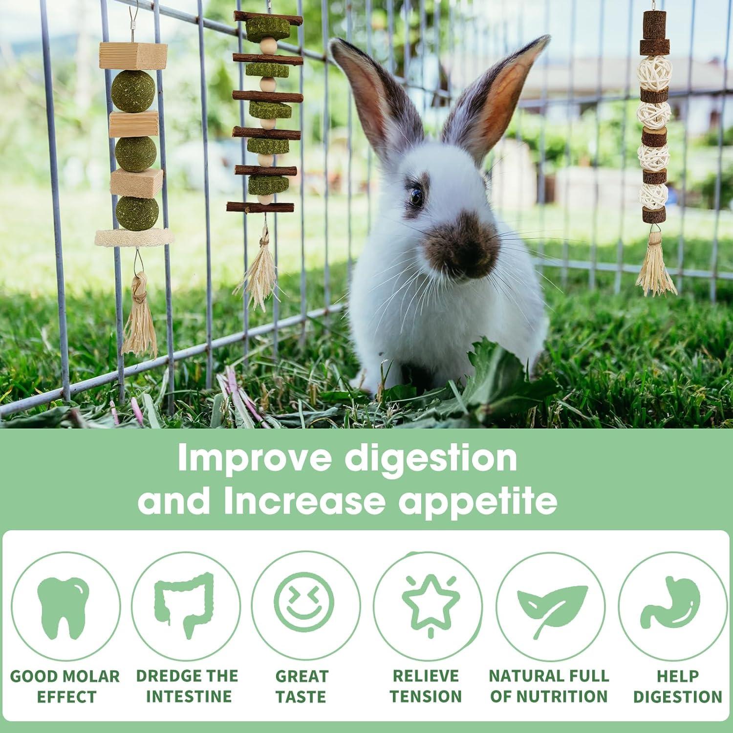 Juguetes de Masticar WDEFUN para Conejos y Roedores - 3 Piezas