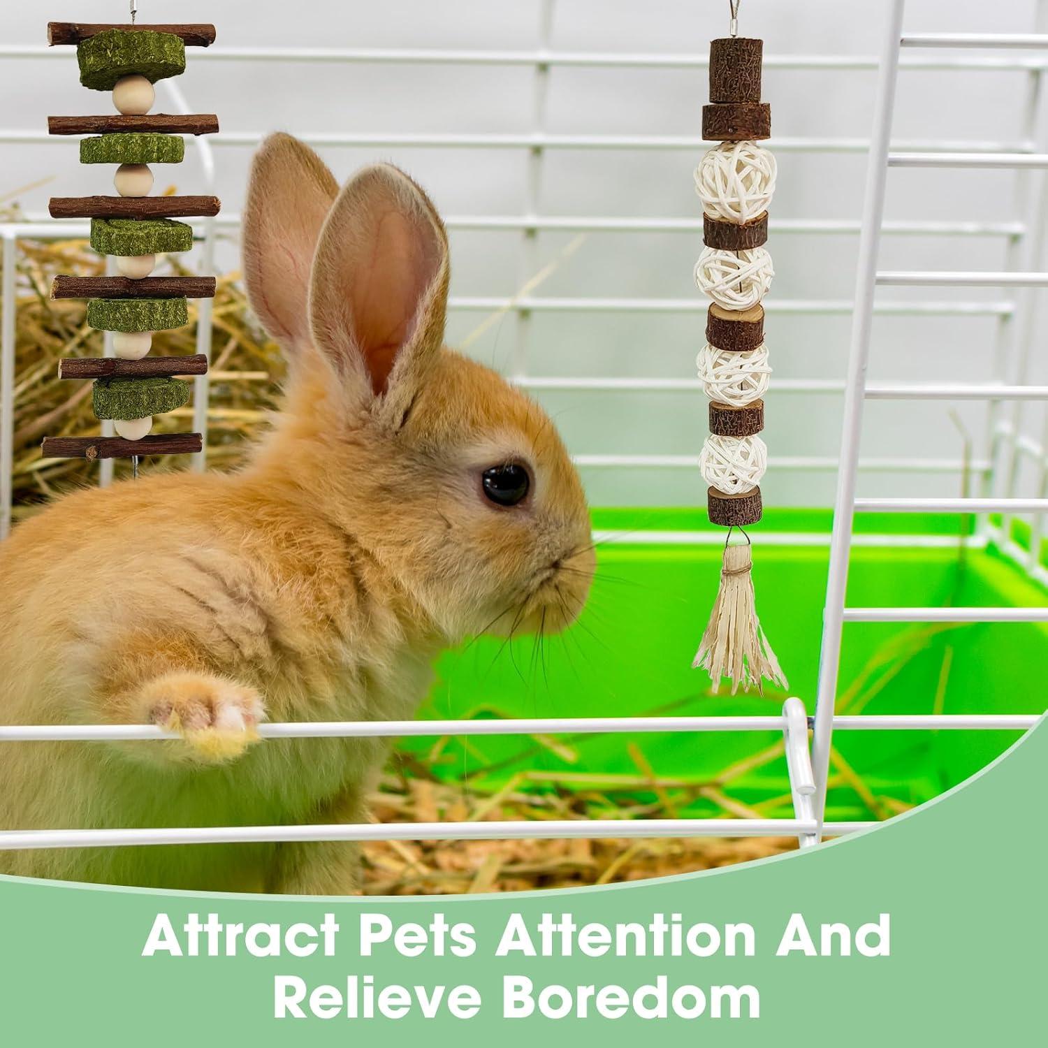 Juguetes de Masticar WDEFUN para Conejos y Roedores - 3 Piezas