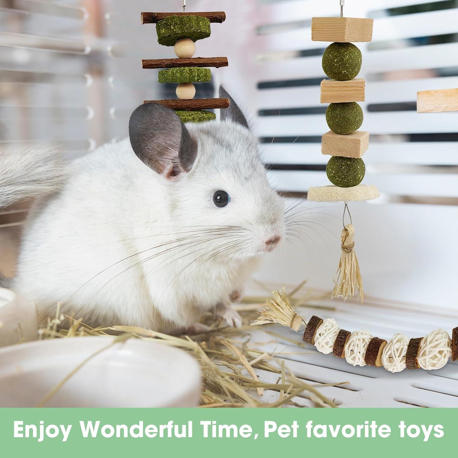 Juguetes de Masticar WDEFUN para Conejos y Roedores - 3 Piezas