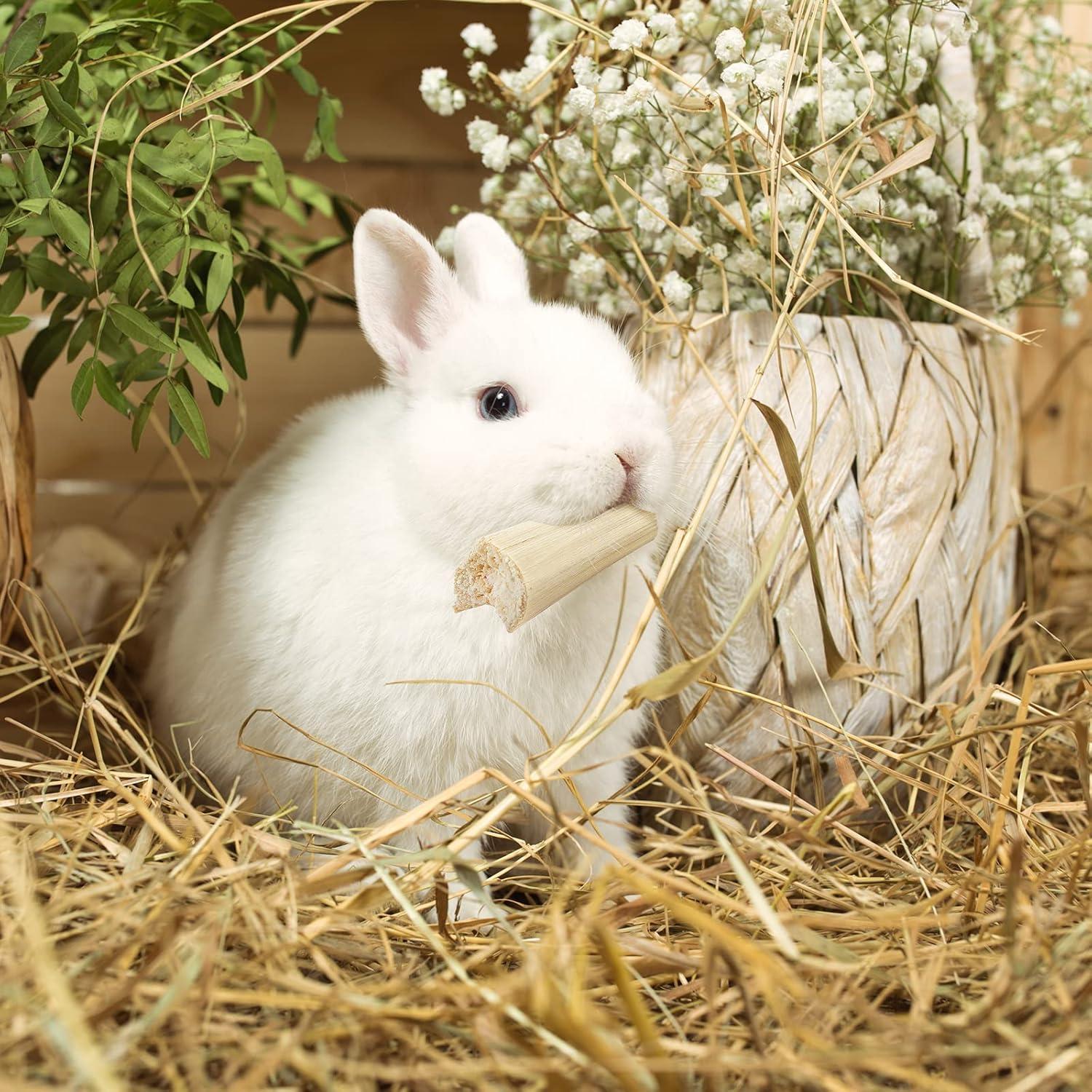 Juguetes de Masticar Niteangel de Bambú Natural para Mascotas