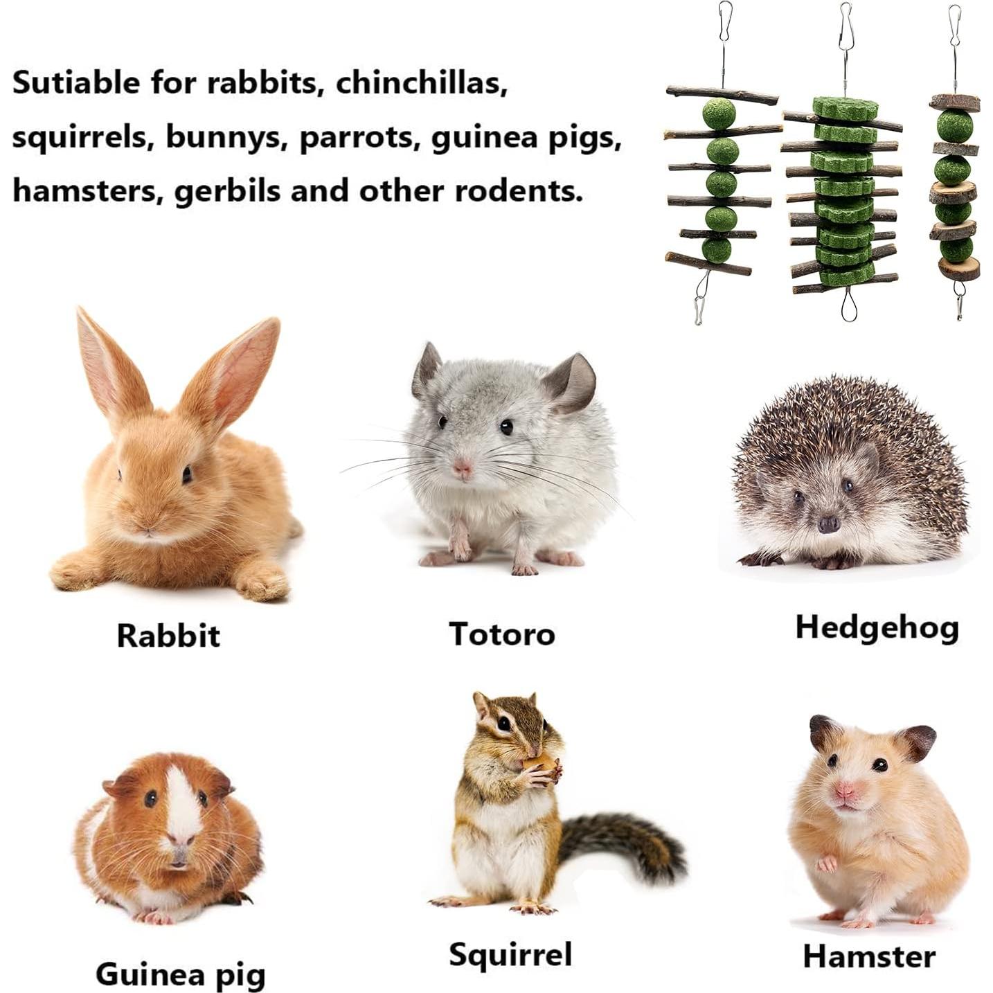 Juguetes de Masticación para Conejos BallHull - 3 Piezas