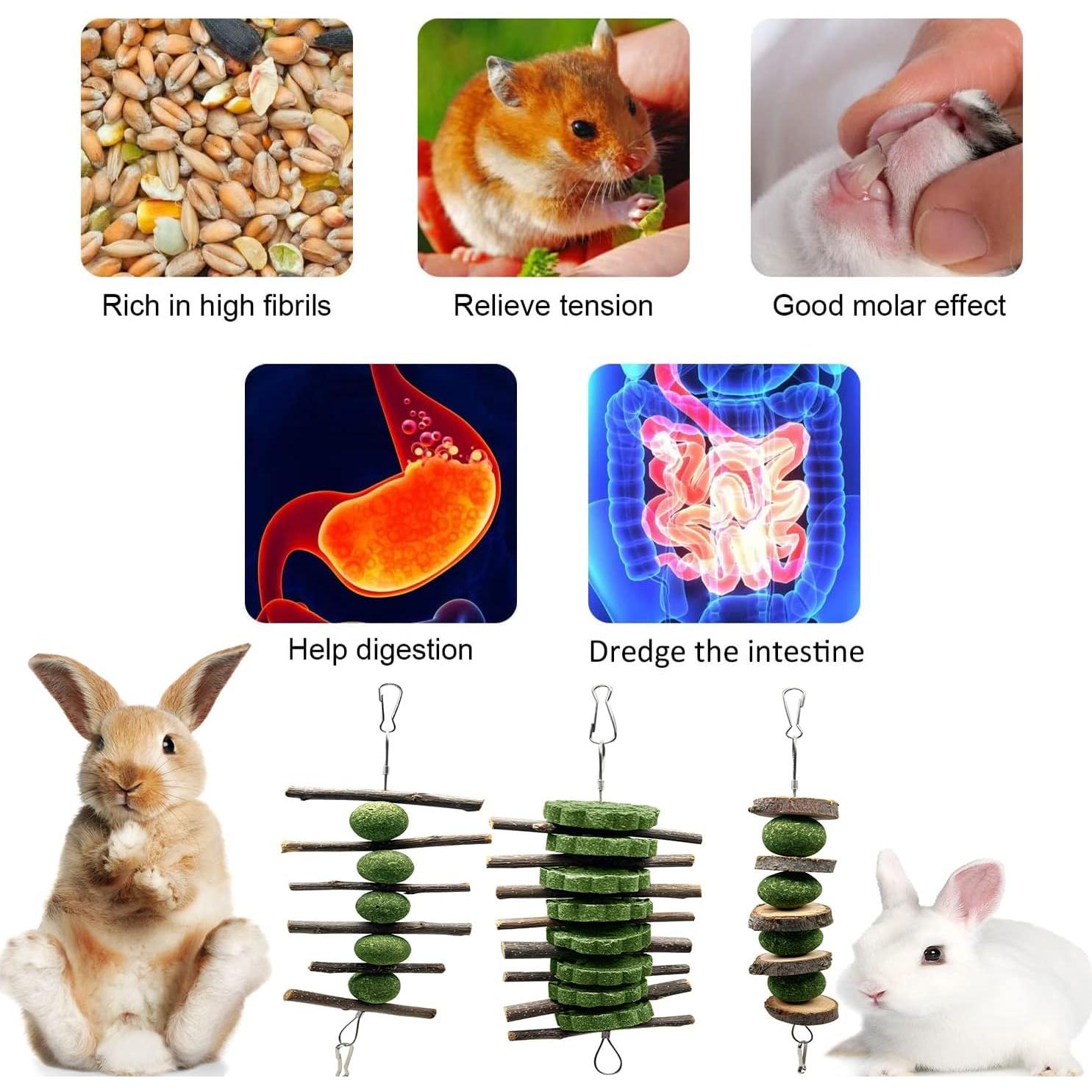 Juguetes de Masticación para Conejos BallHull - 3 Piezas