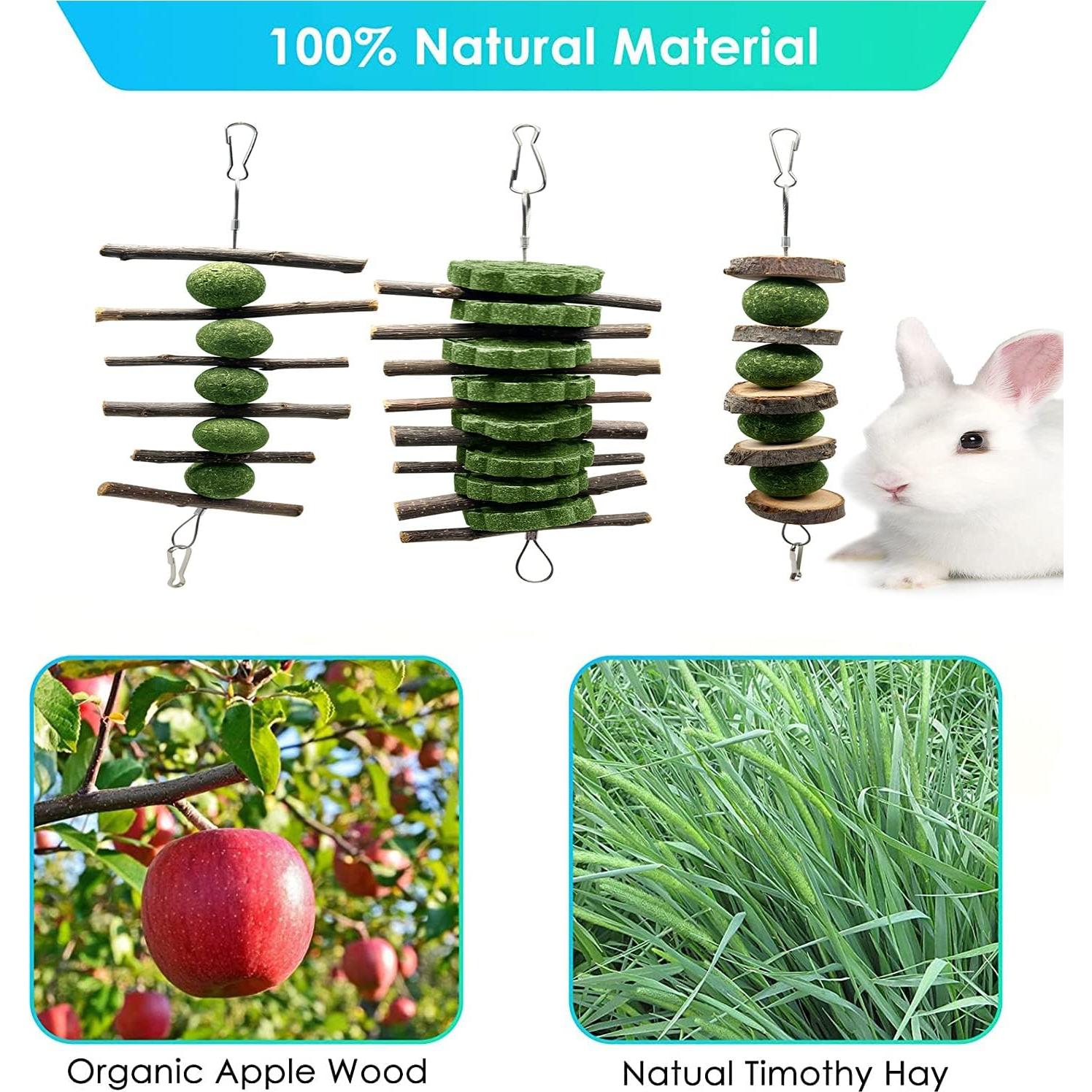 Juguetes de Masticación para Conejos BallHull - 3 Piezas