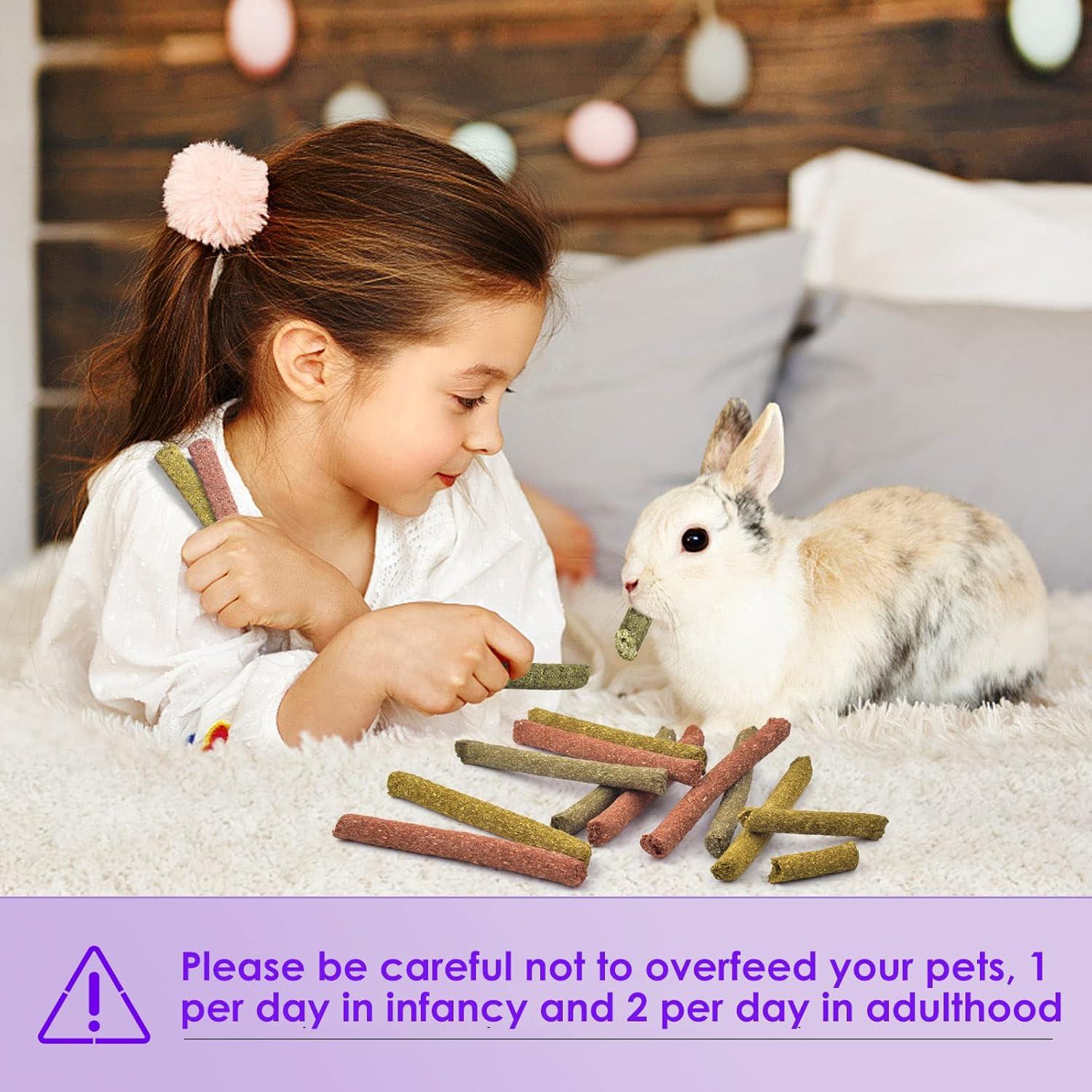 Palitos de Masticar Conejo Bissap 36PCS Heno Timothy y Zanahoria