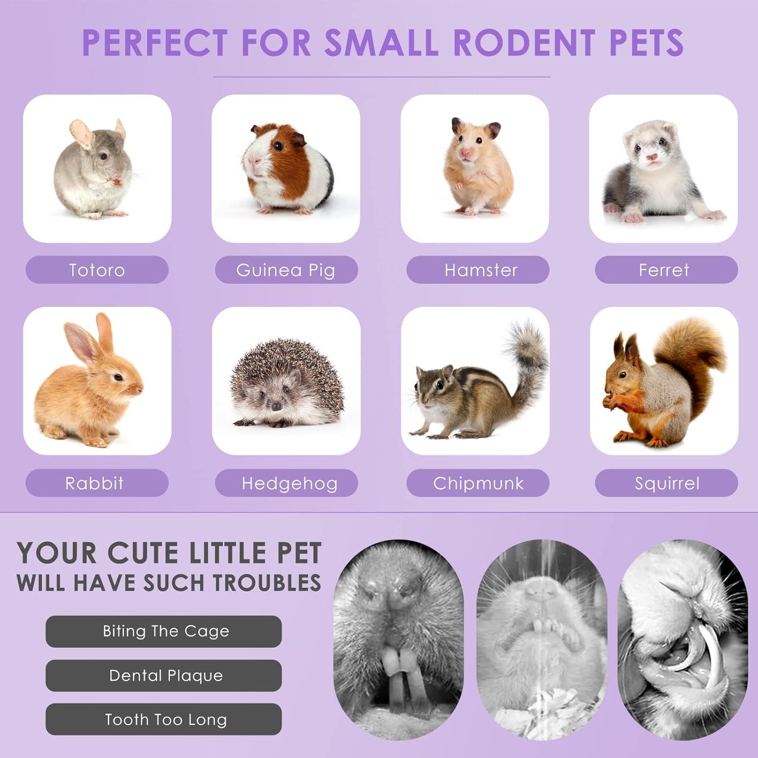 Palitos de Masticar Conejo Bissap 36PCS Heno Timothy y Zanahoria