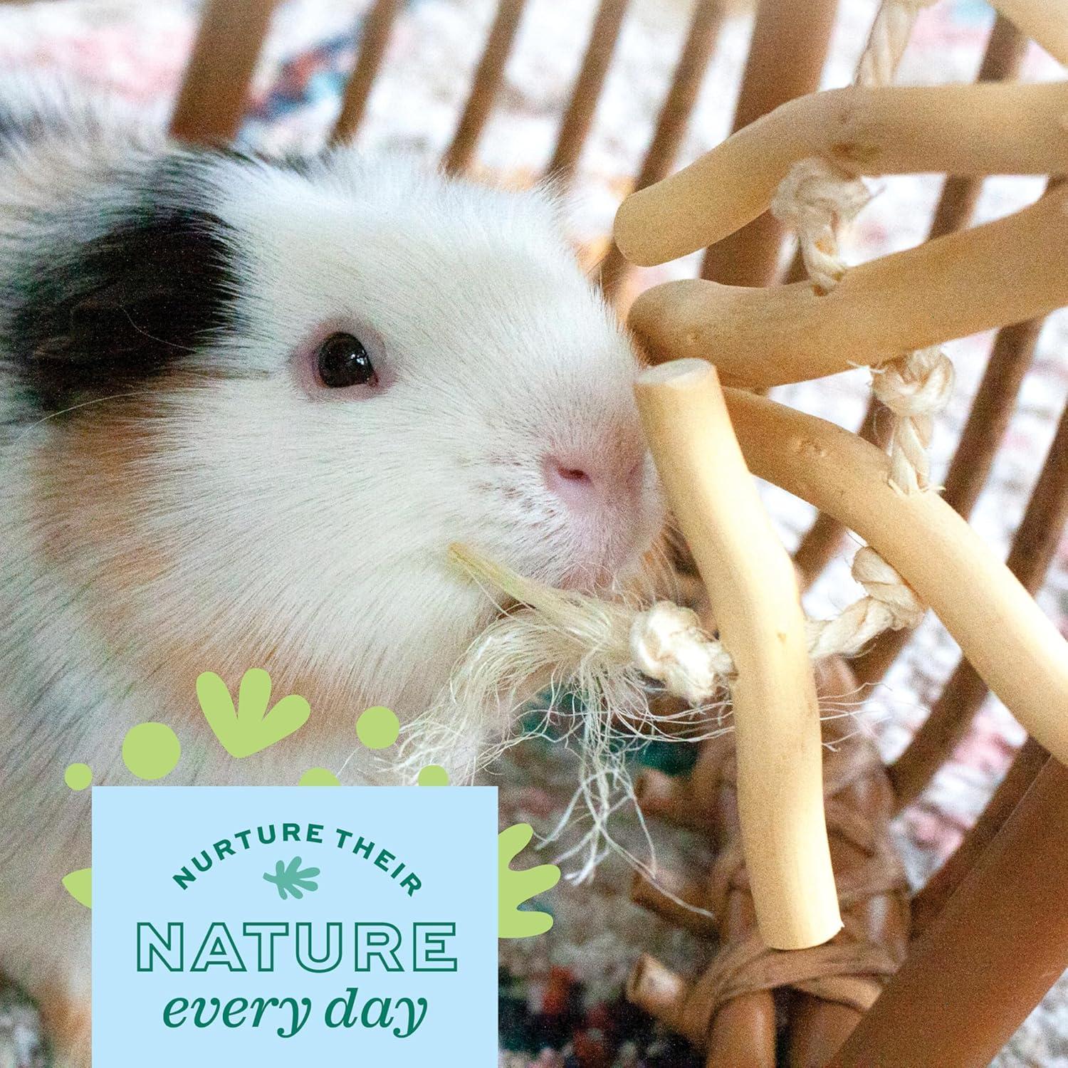 Paquete de Fiesta Natural Oxbow para Conejos y Cobayas - 5 Juguetes