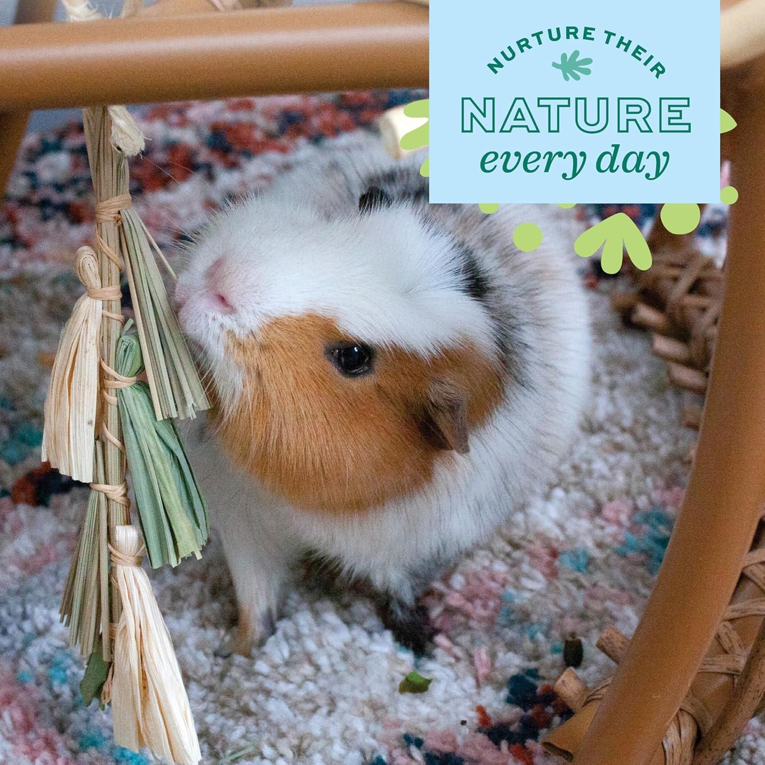 Paquete de Fiesta Natural Oxbow para Conejos y Cobayas - 5 Juguetes