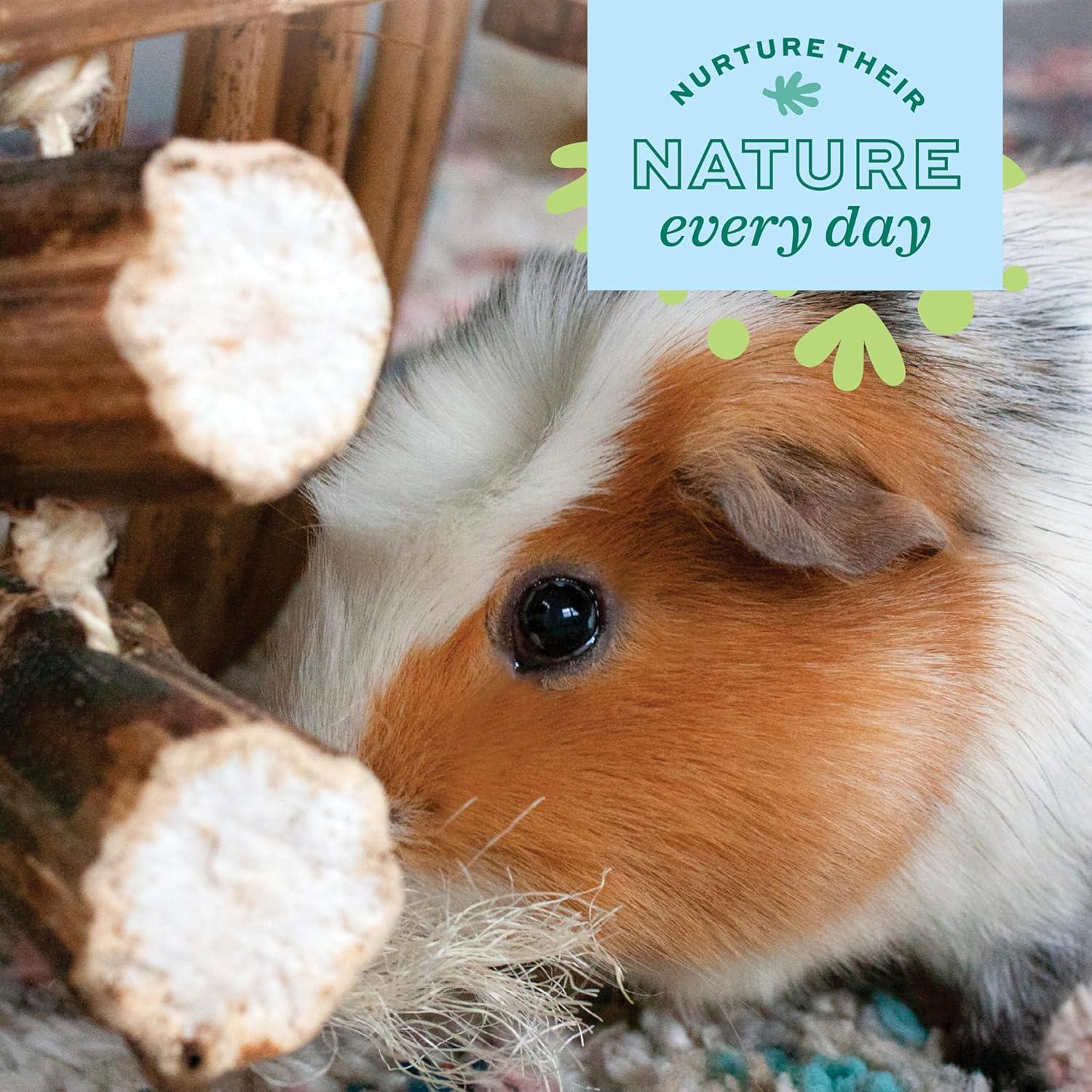 Paquete de Fiesta Natural Oxbow para Conejos y Cobayas - 5 Juguetes