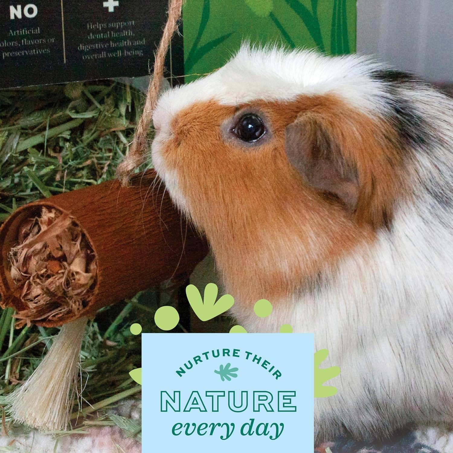 Paquete de Fiesta Natural Oxbow para Conejos y Cobayas - 5 Juguetes