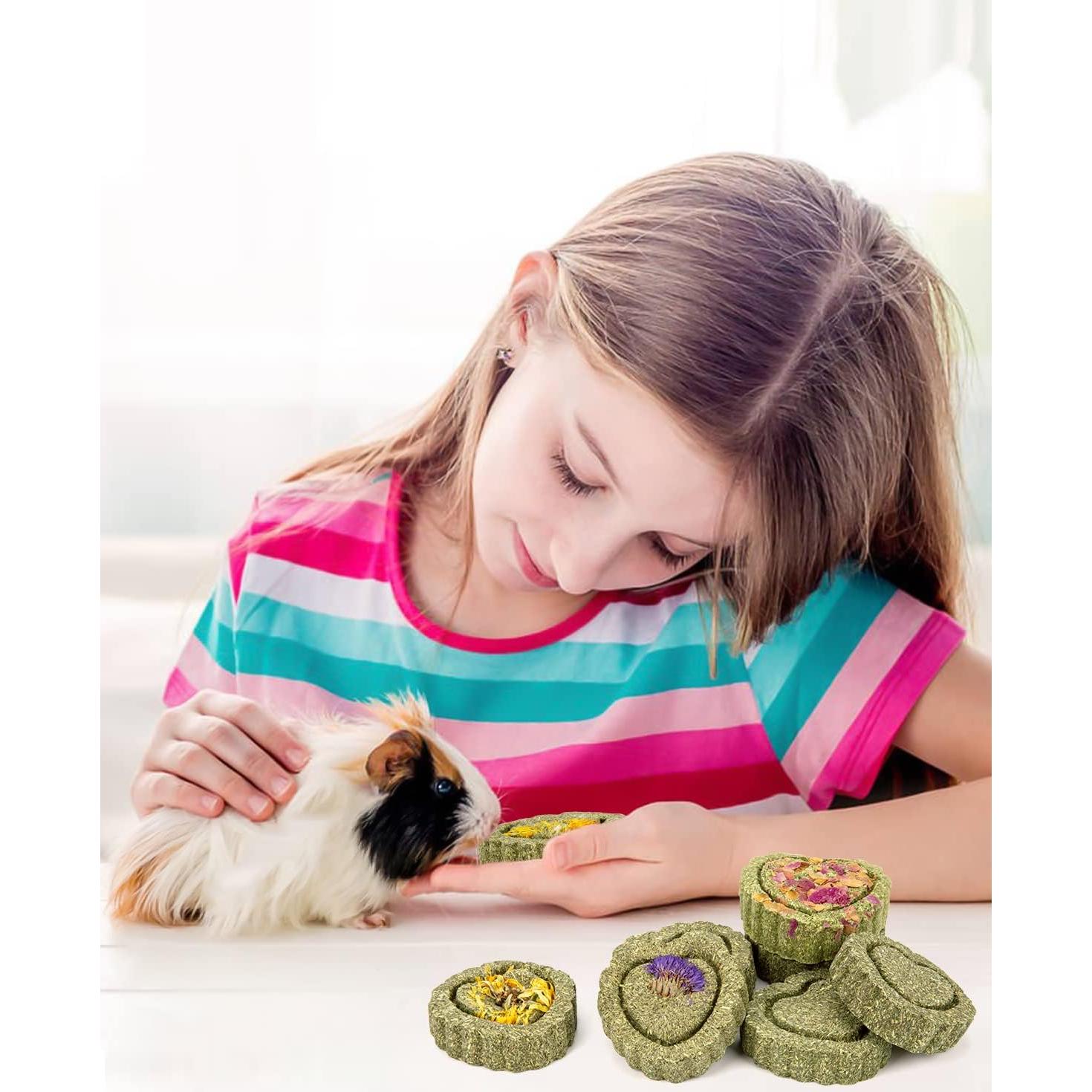 Golosinas de Heno Timothy Sofier 12 Piezas para Conejos