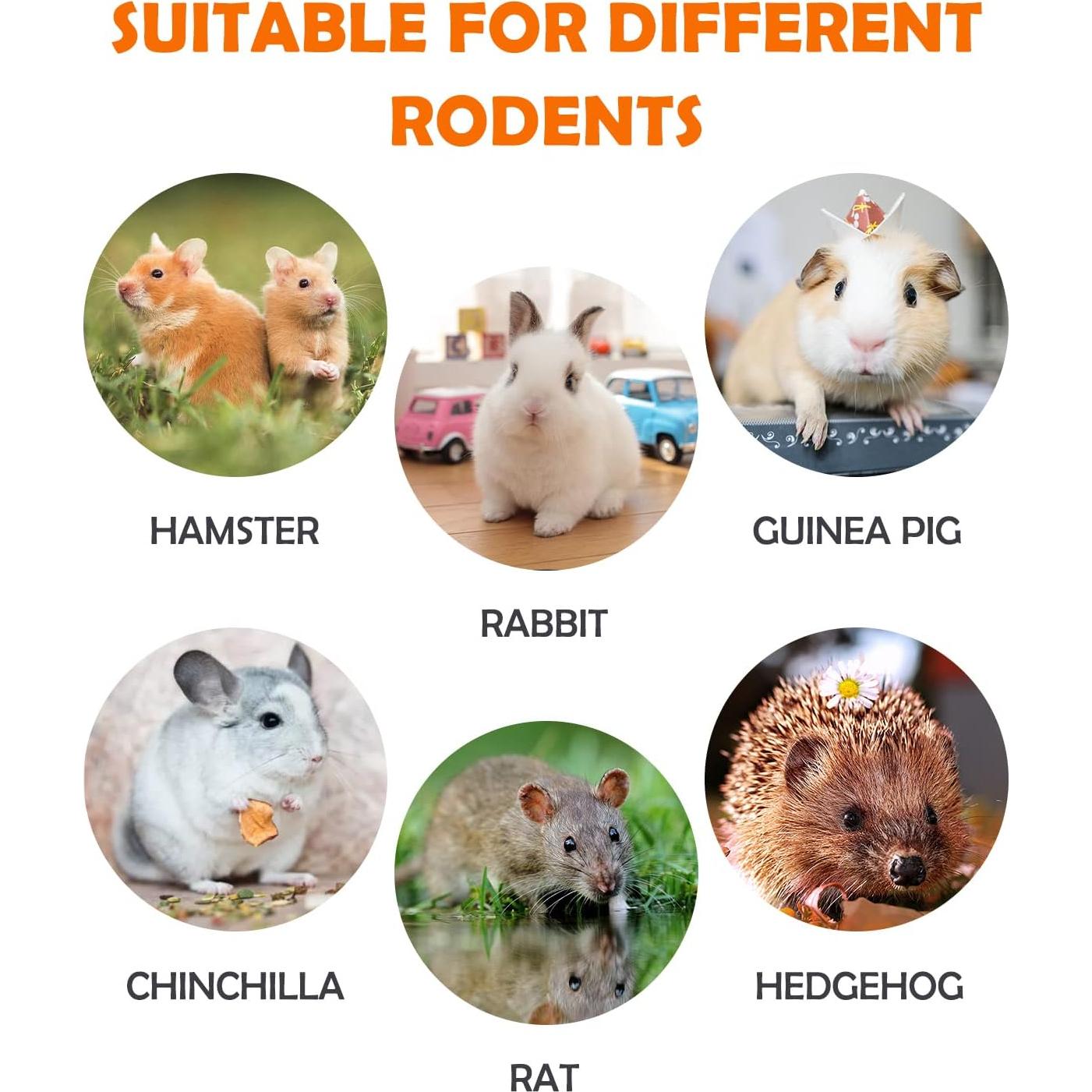 Golosinas de Heno Timothy Sofier 12 Piezas para Conejos