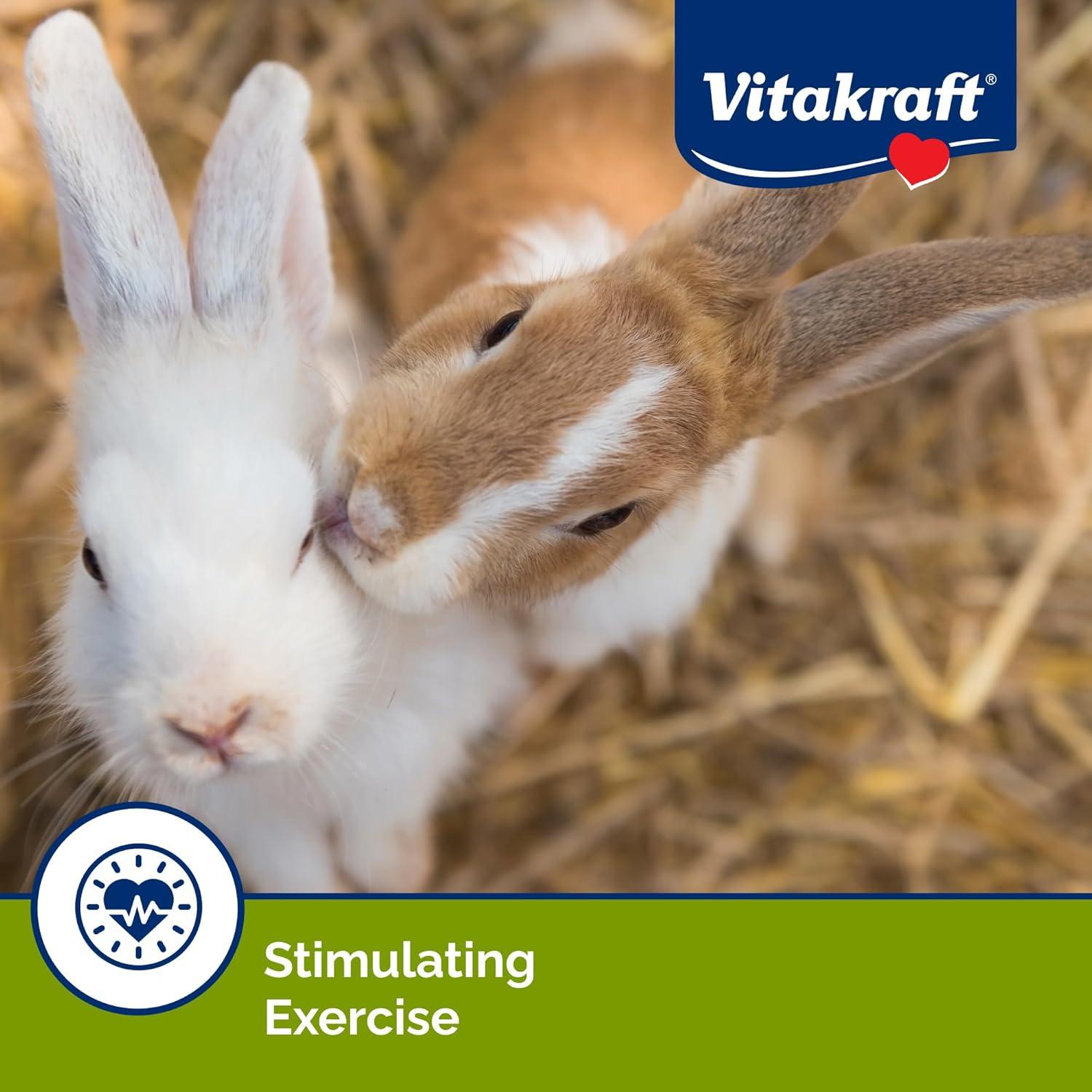 Vitakraft Crunch Sticks Galletas para Conejos - Zanahoria y Miel