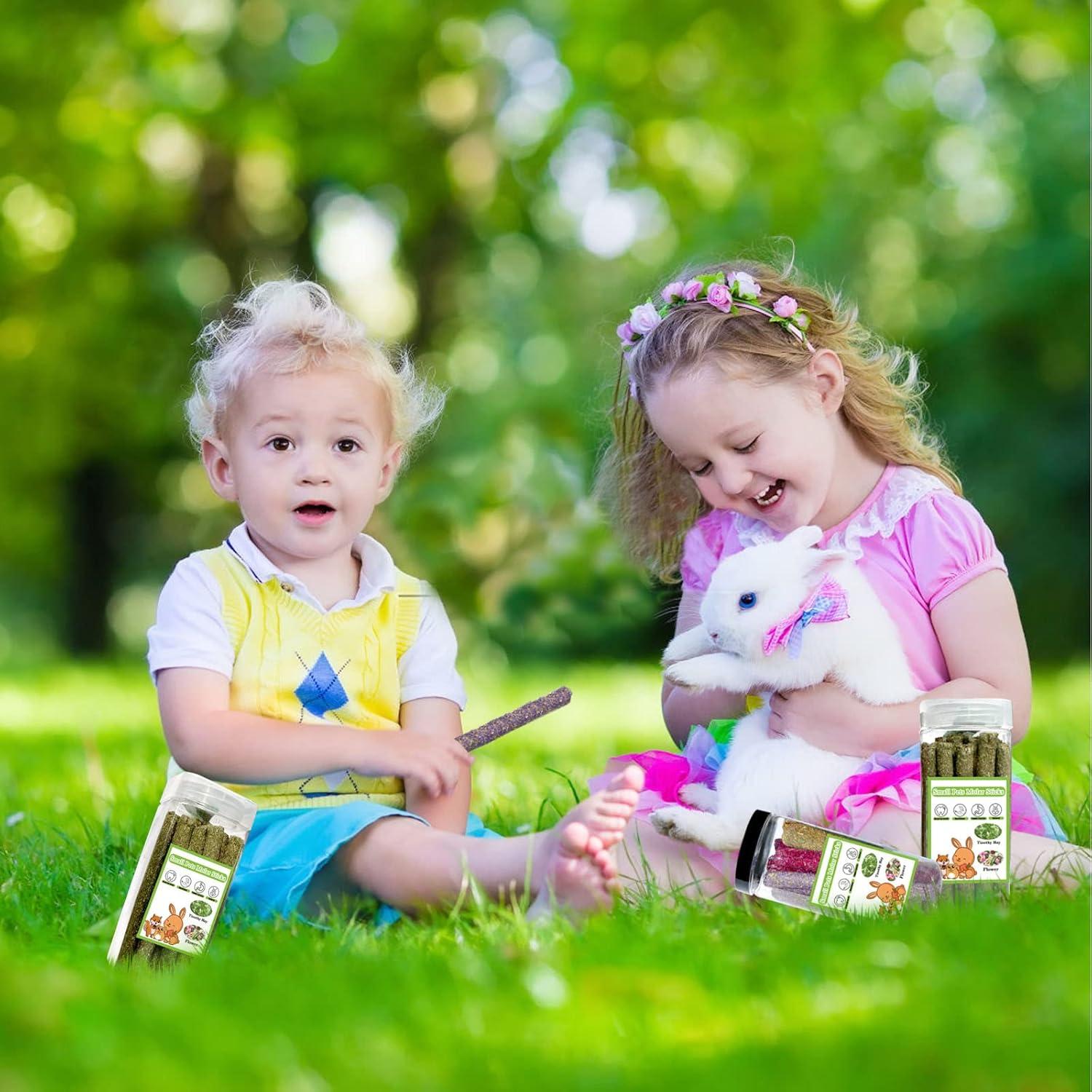 68 Juguetes para Roer Conejos AKLHLKK - Heno Timothy Natural