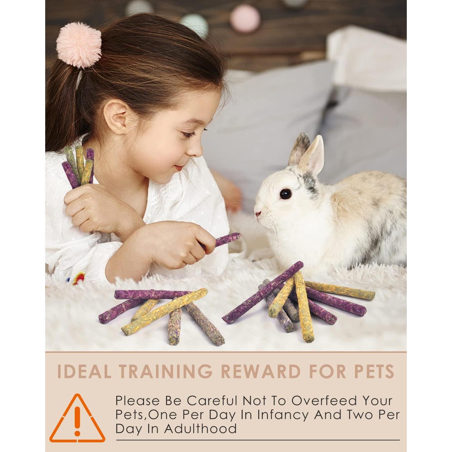 Bissap 36PCS Palitos Masticables para Conejos y Roedores