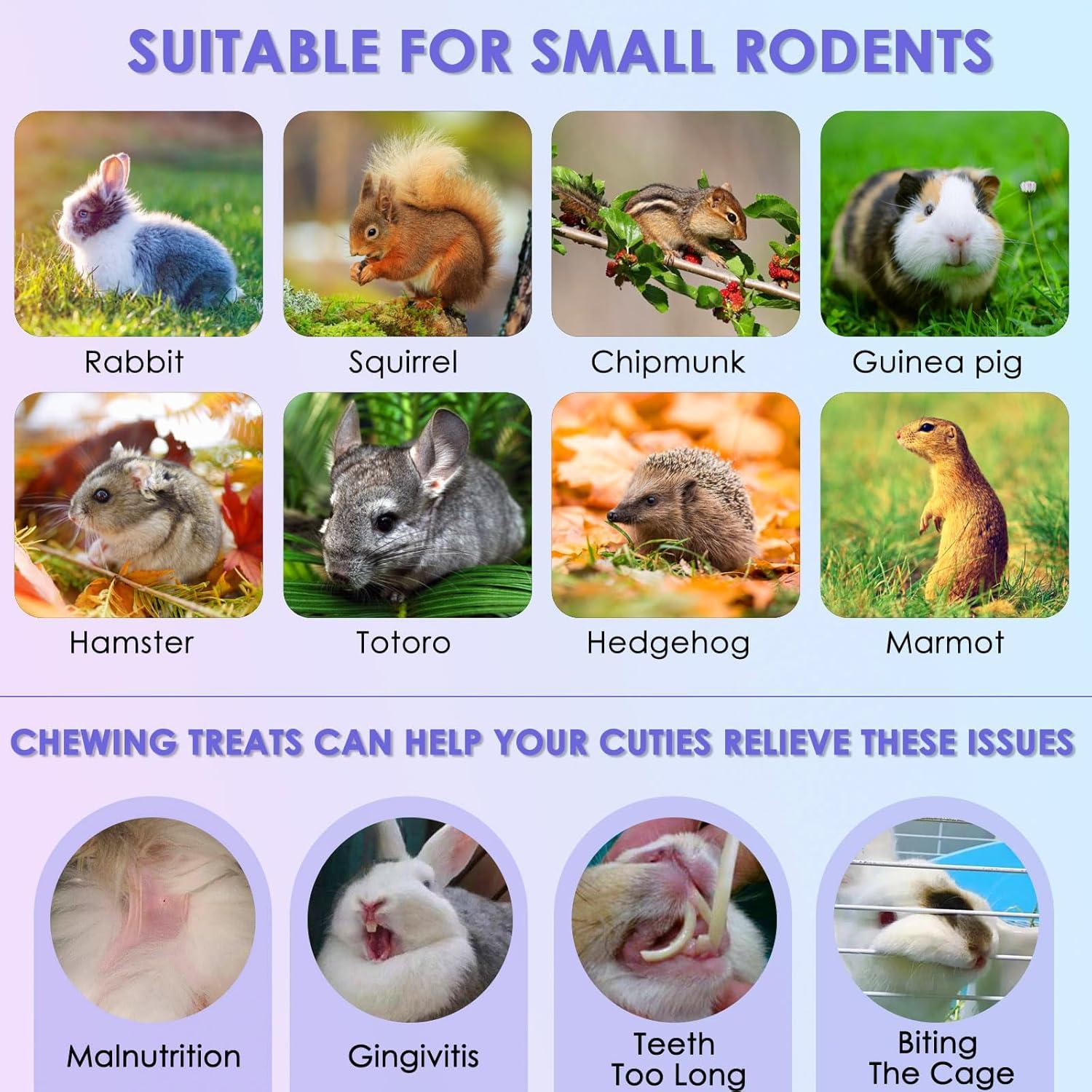 Golosinas Saludables para Conejos KATUMO 24pcs Heno Timothy