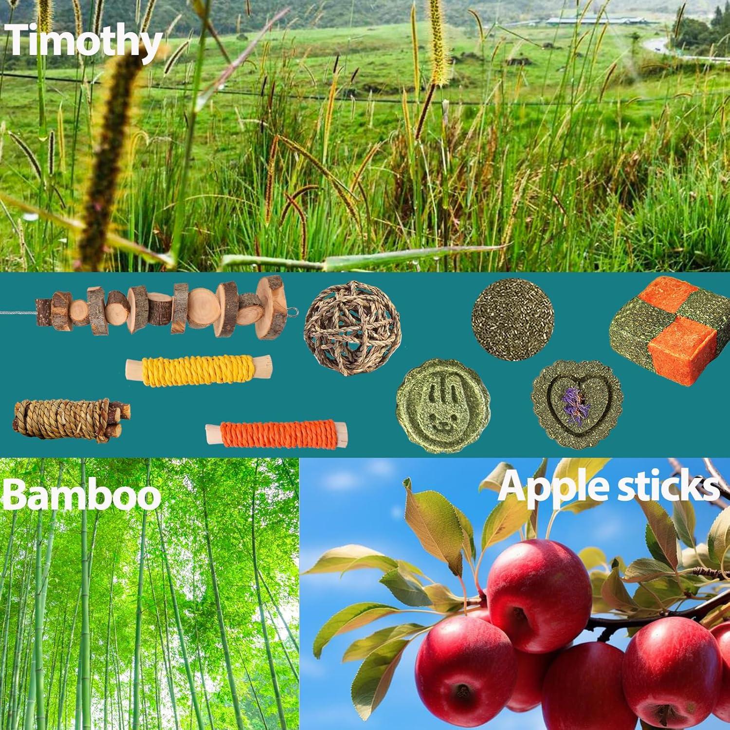 Juguetes para Roedores HERCOOCI 18 Piezas Cuidado Dental