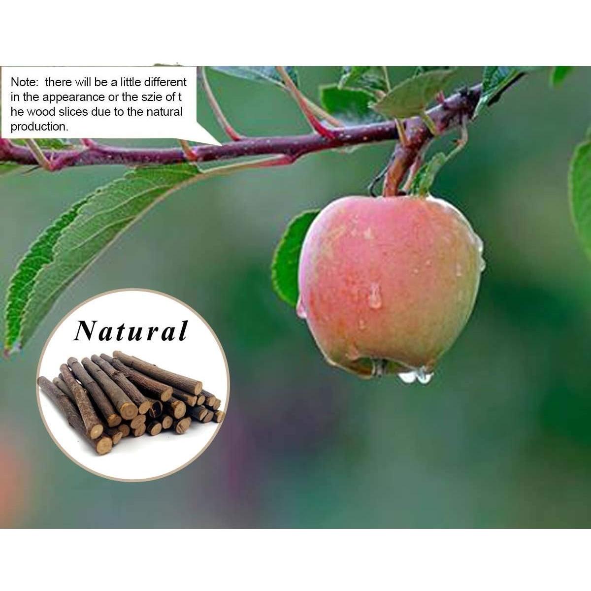 Ramas de Manzano Natural William Craft 100g para Mascotas