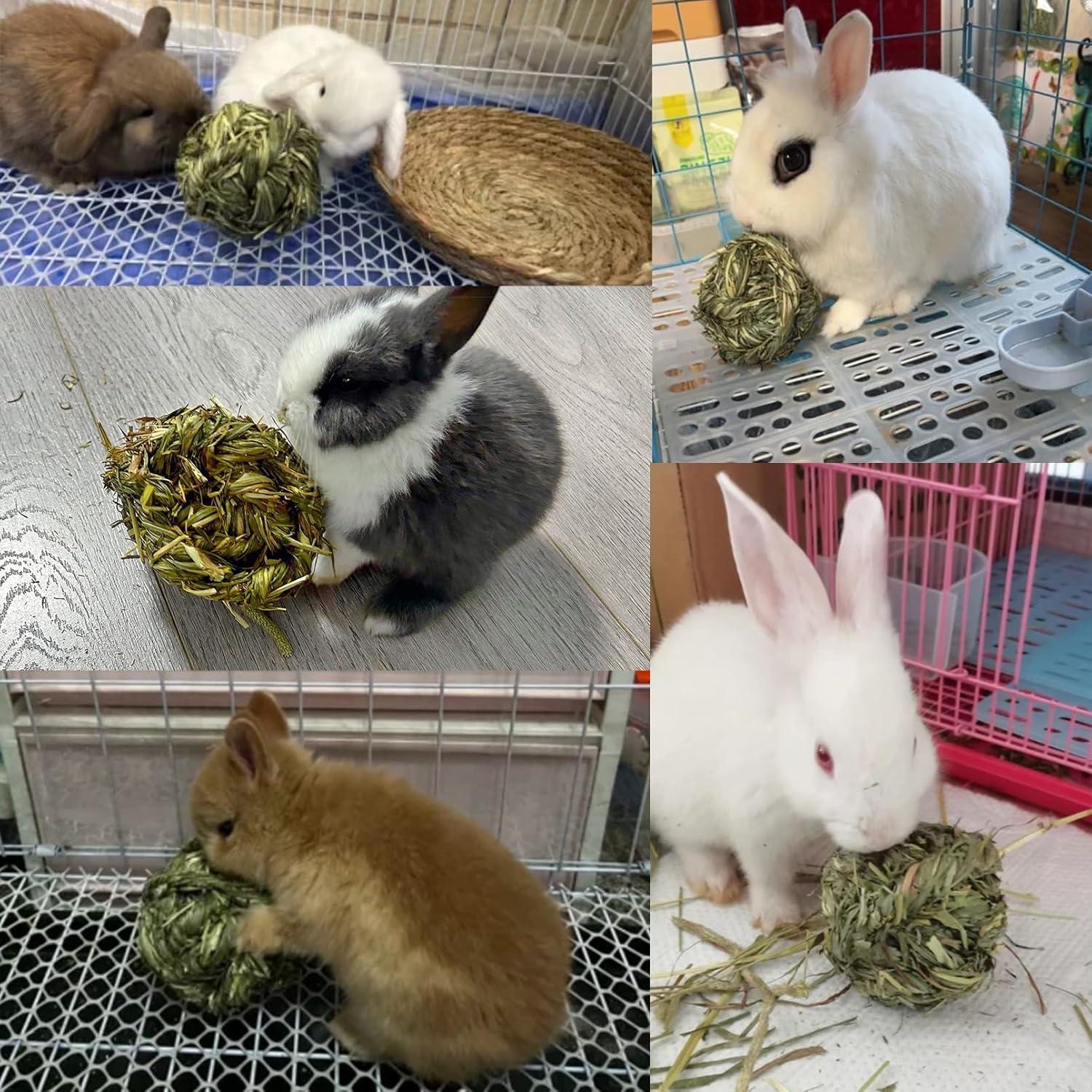 Pelota de Masticar de Hierba Timothy Hamiledyi - 3 Piezas